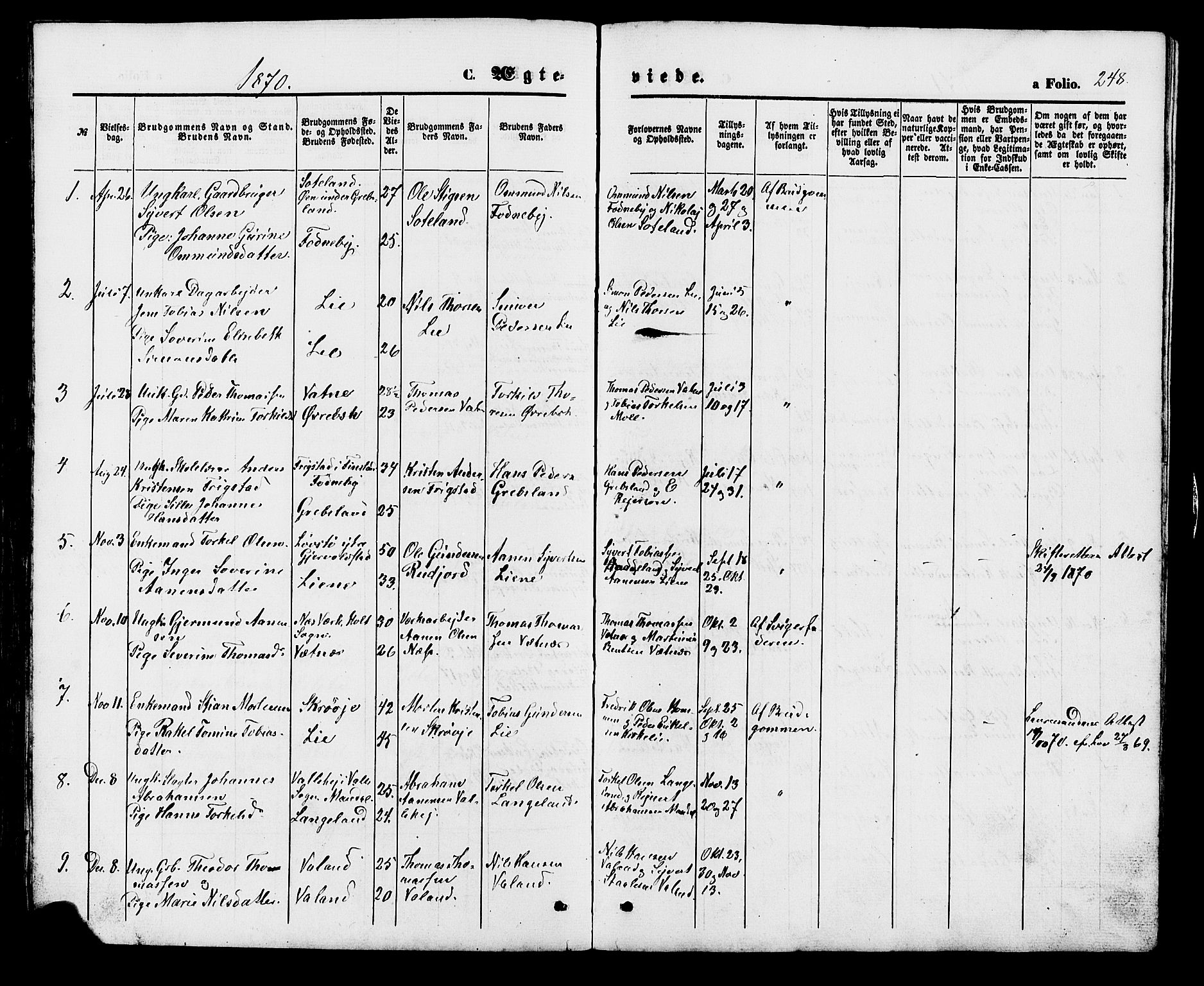 Holum sokneprestkontor, SAK/1111-0022/F/Fb/Fba/L0004: Parish register (copy) no. B 4, 1867-1890, p. 248