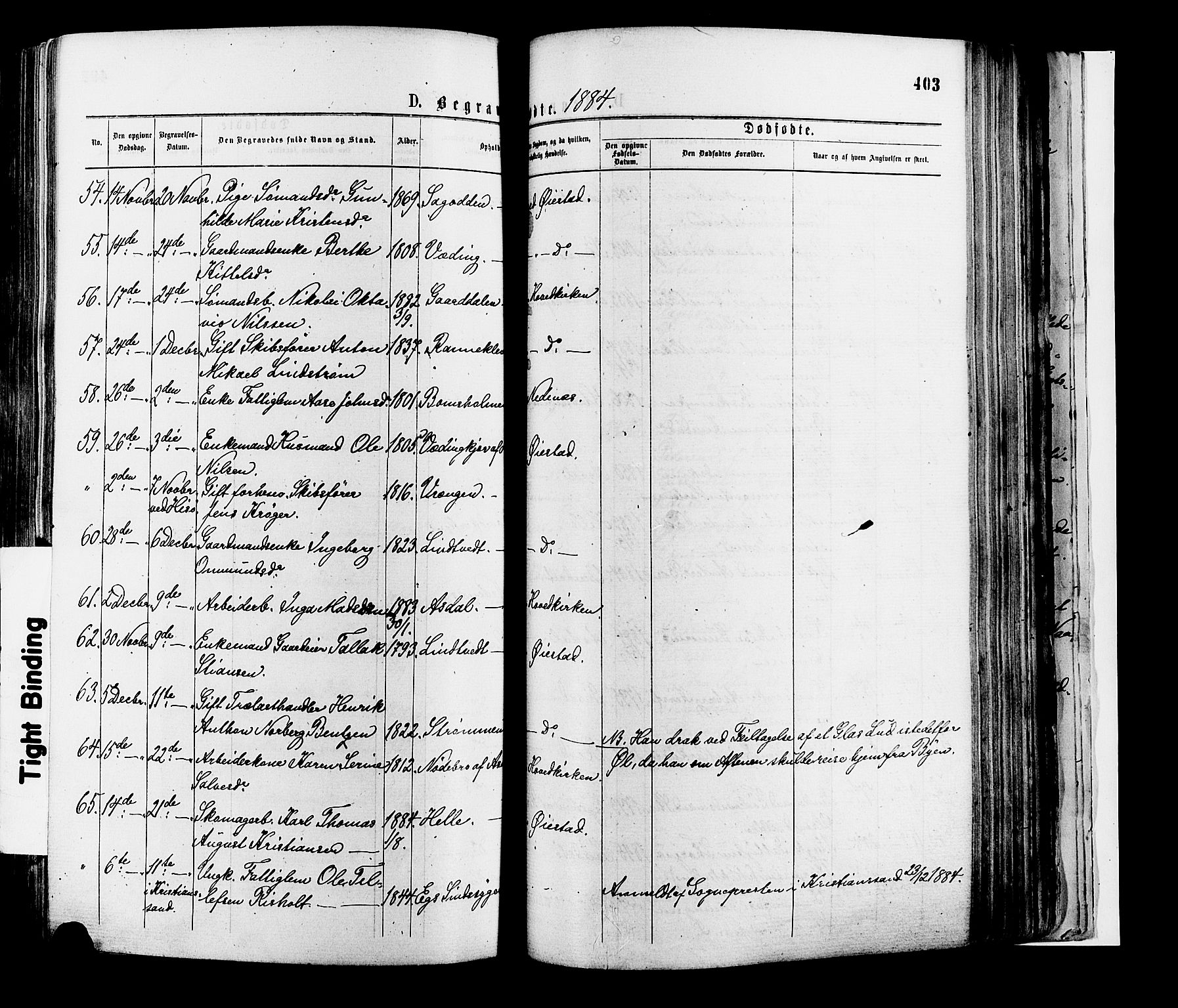 Øyestad sokneprestkontor, AV/SAK-1111-0049/F/Fa/L0016: Parish register (official) no. A 16, 1874-1886, p. 403