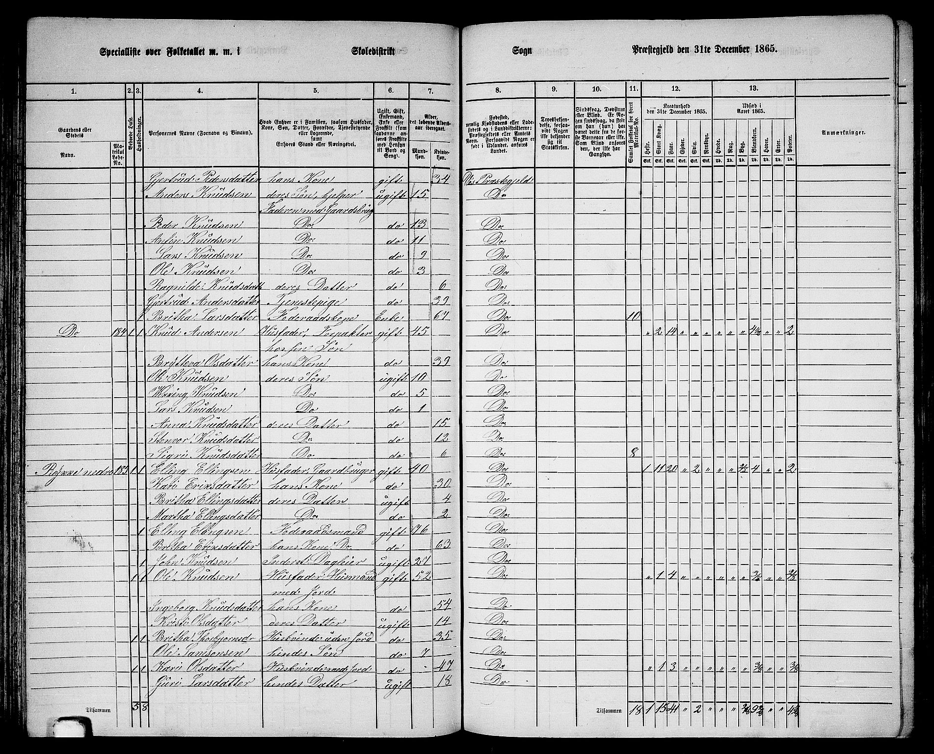 RA, 1865 census for Voss, 1865, p. 100