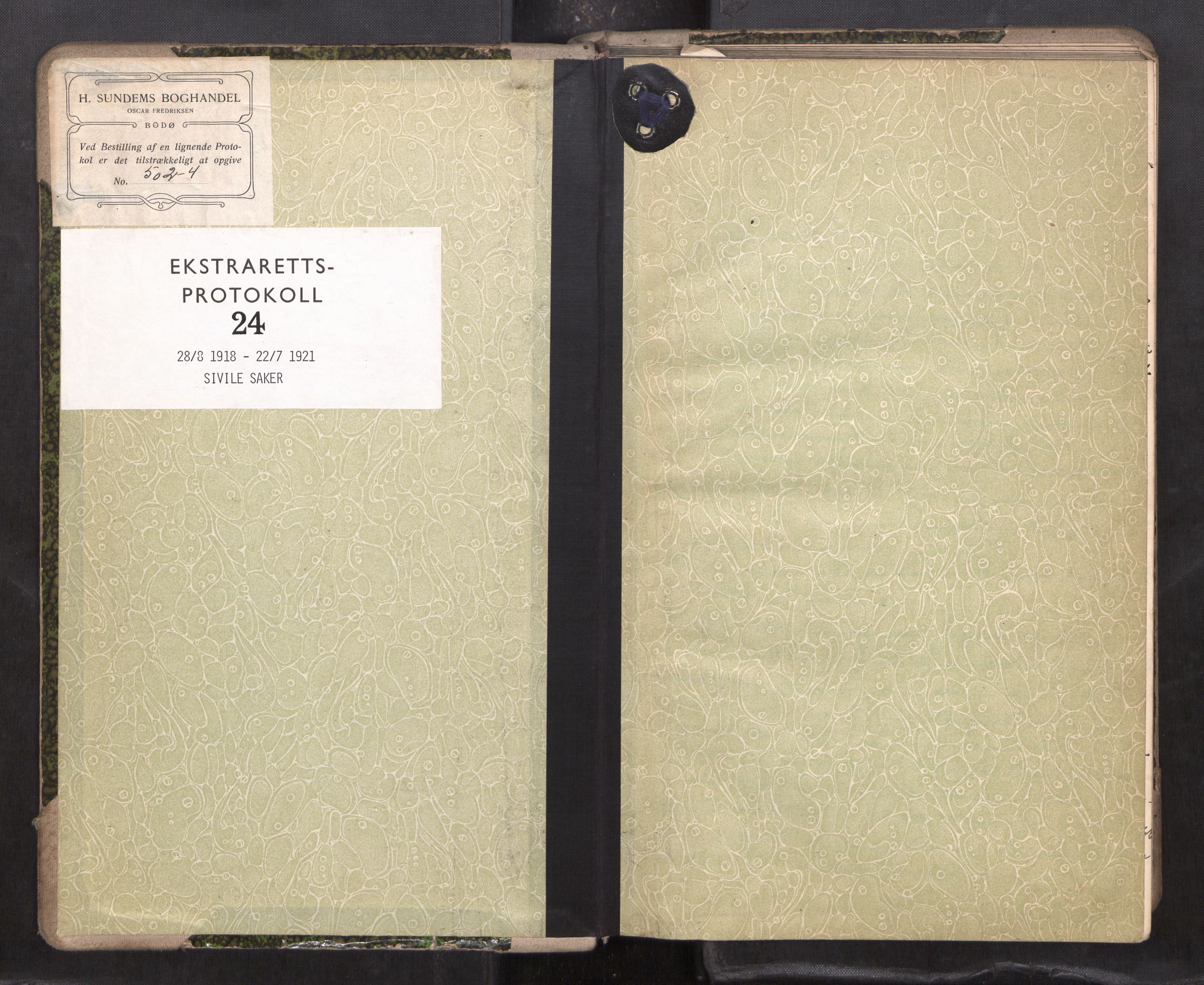 Rana sorenskriveri , SAT/A-1108/1/1/1B/L0024: Ekstrarettsprotokoll, 1918-1921