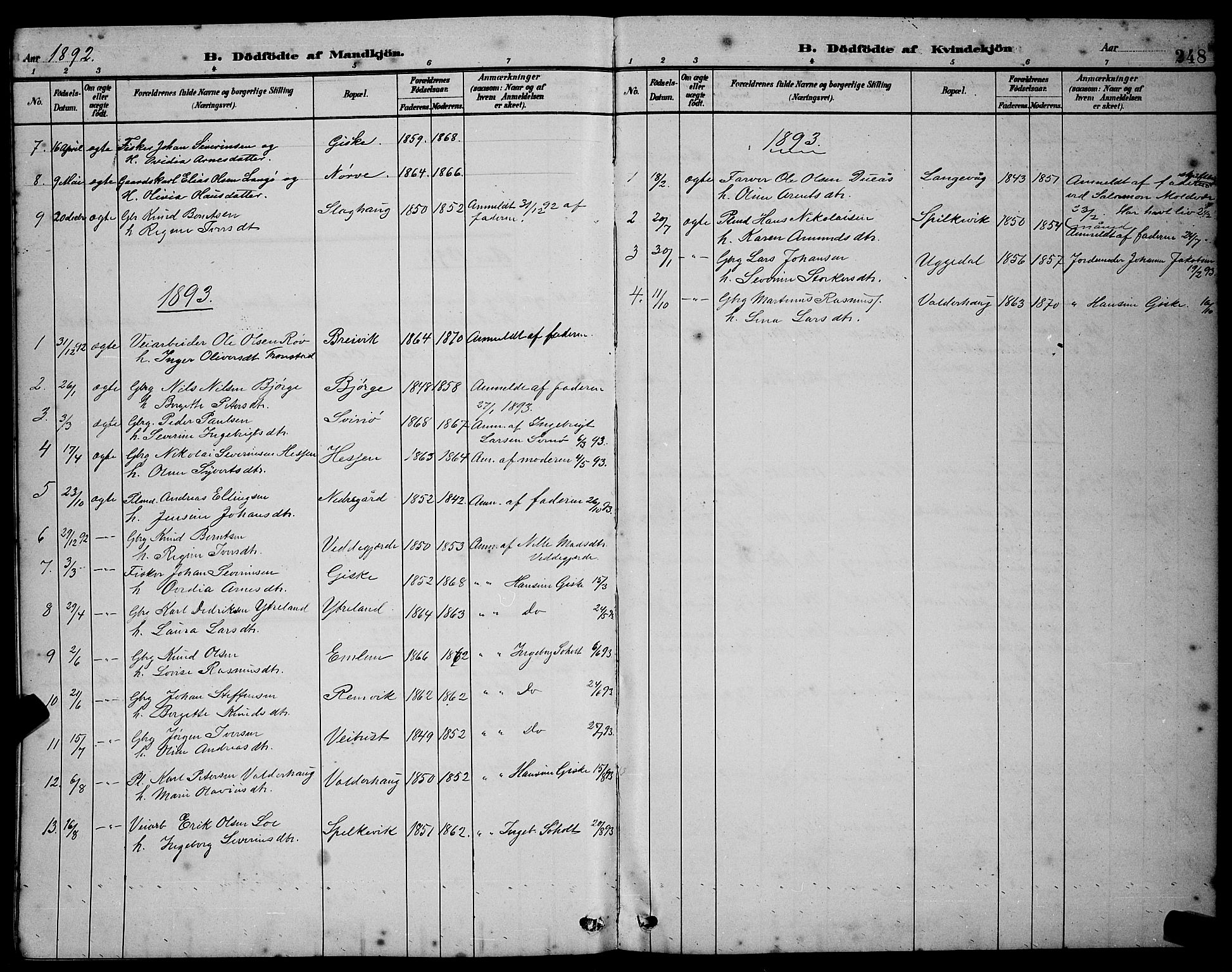 Ministerialprotokoller, klokkerbøker og fødselsregistre - Møre og Romsdal, AV/SAT-A-1454/528/L0431: Parish register (copy) no. 528C12, 1885-1898, p. 248