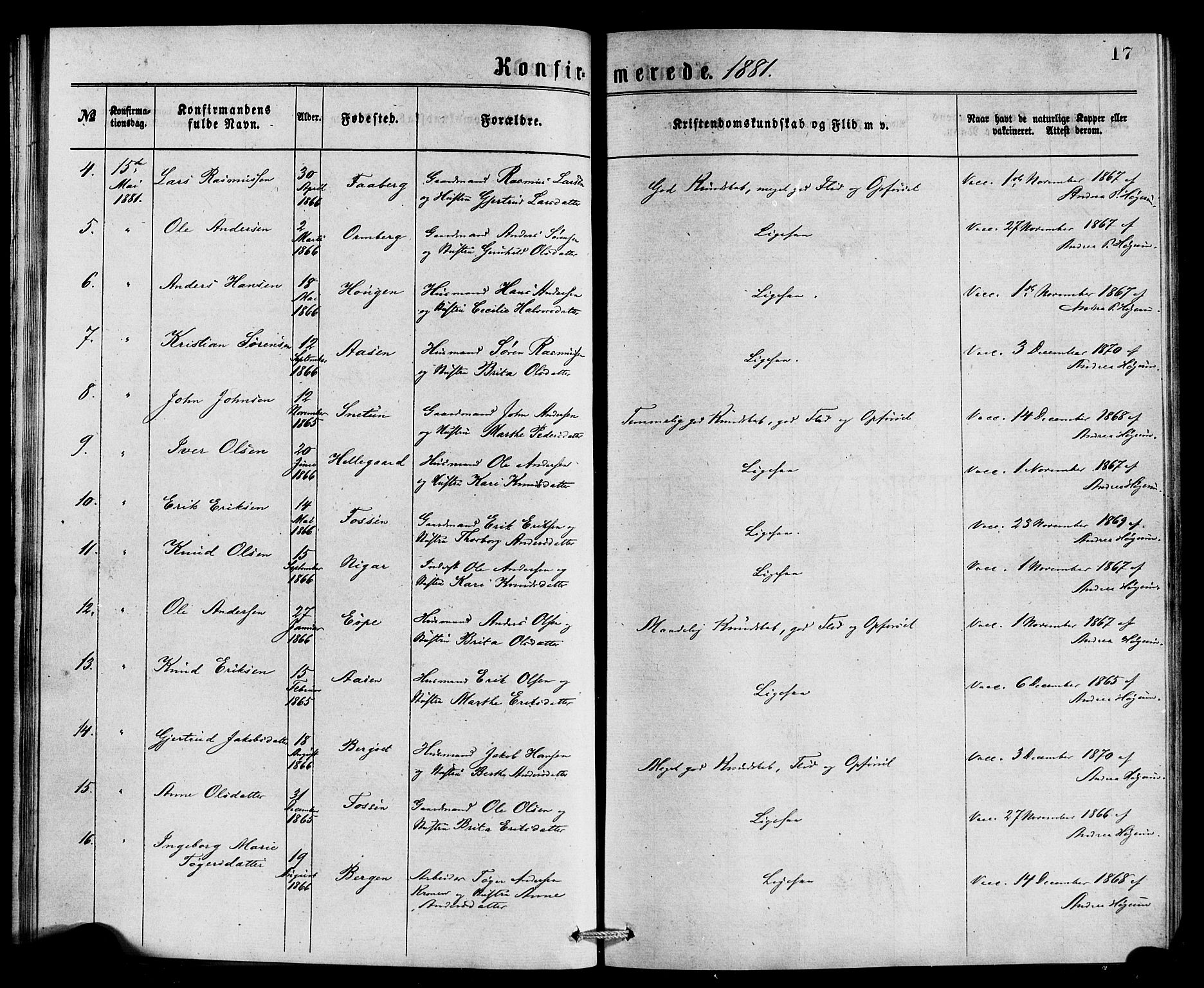 Jostedal sokneprestembete, SAB/A-80601/H/Haa/Haaa/L0007: Parish register (official) no. A 7, 1874-1886, p. 17