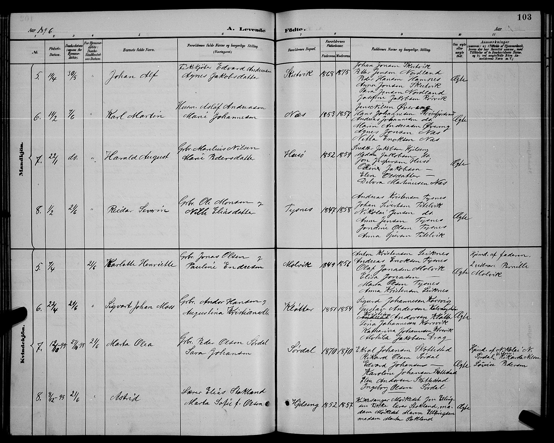 Ministerialprotokoller, klokkerbøker og fødselsregistre - Nordland, SAT/A-1459/859/L0859: Parish register (copy) no. 859C05, 1887-1898, p. 103