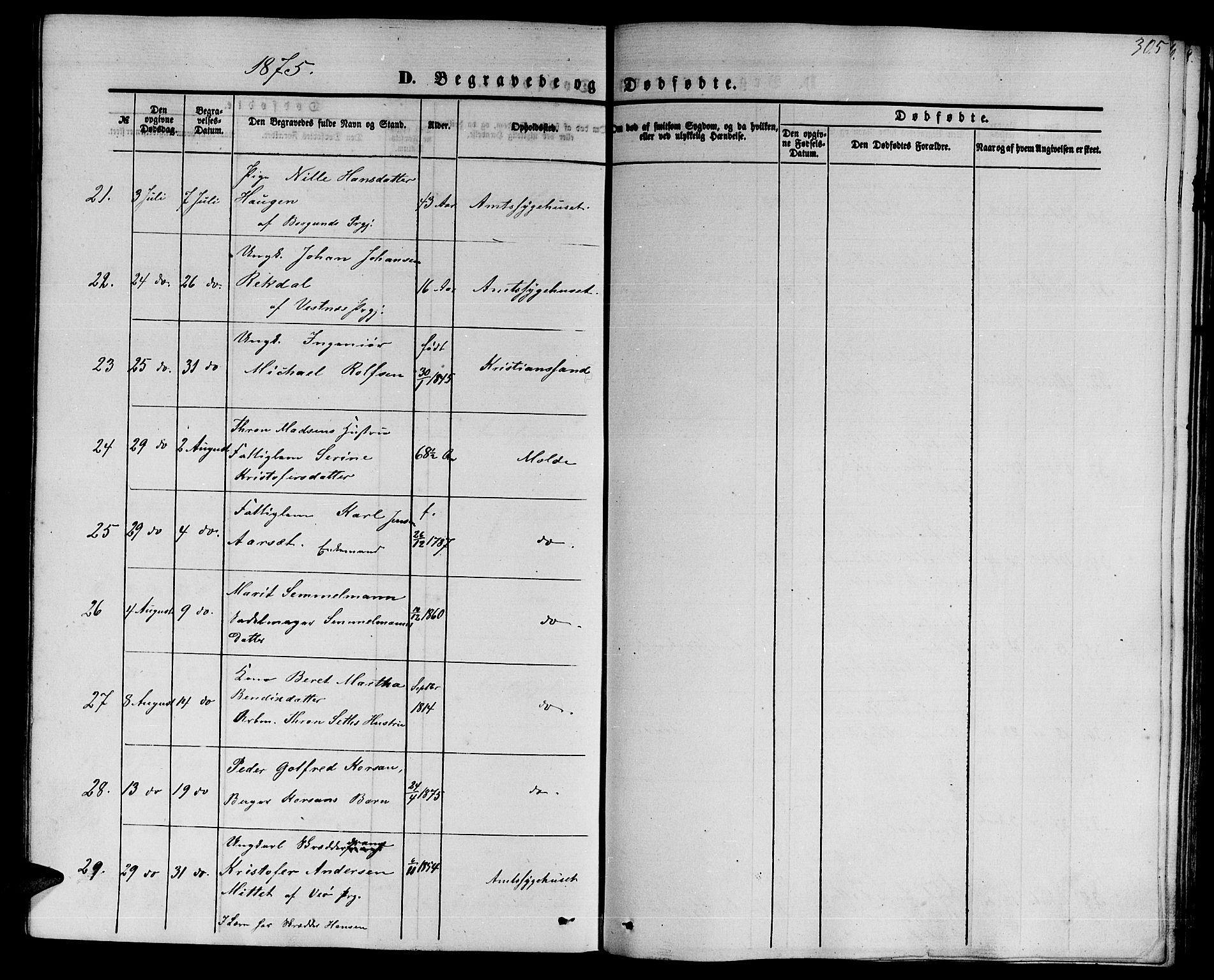 Ministerialprotokoller, klokkerbøker og fødselsregistre - Møre og Romsdal, AV/SAT-A-1454/558/L0701: Parish register (copy) no. 558C02, 1862-1879, p. 305