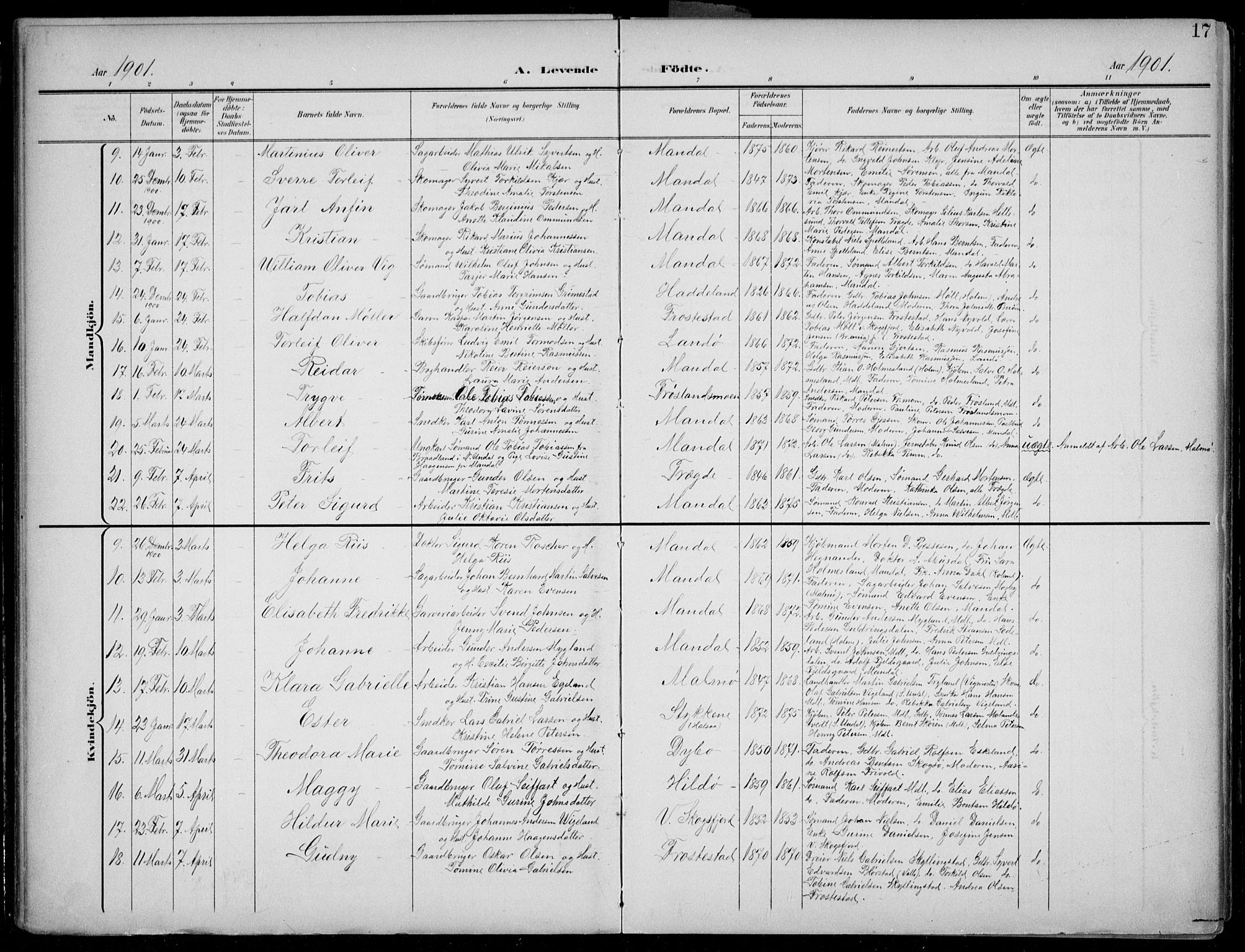 Mandal sokneprestkontor, AV/SAK-1111-0030/F/Fb/Fba/L0012: Parish register (copy) no. B 6, 1899-1918, p. 17