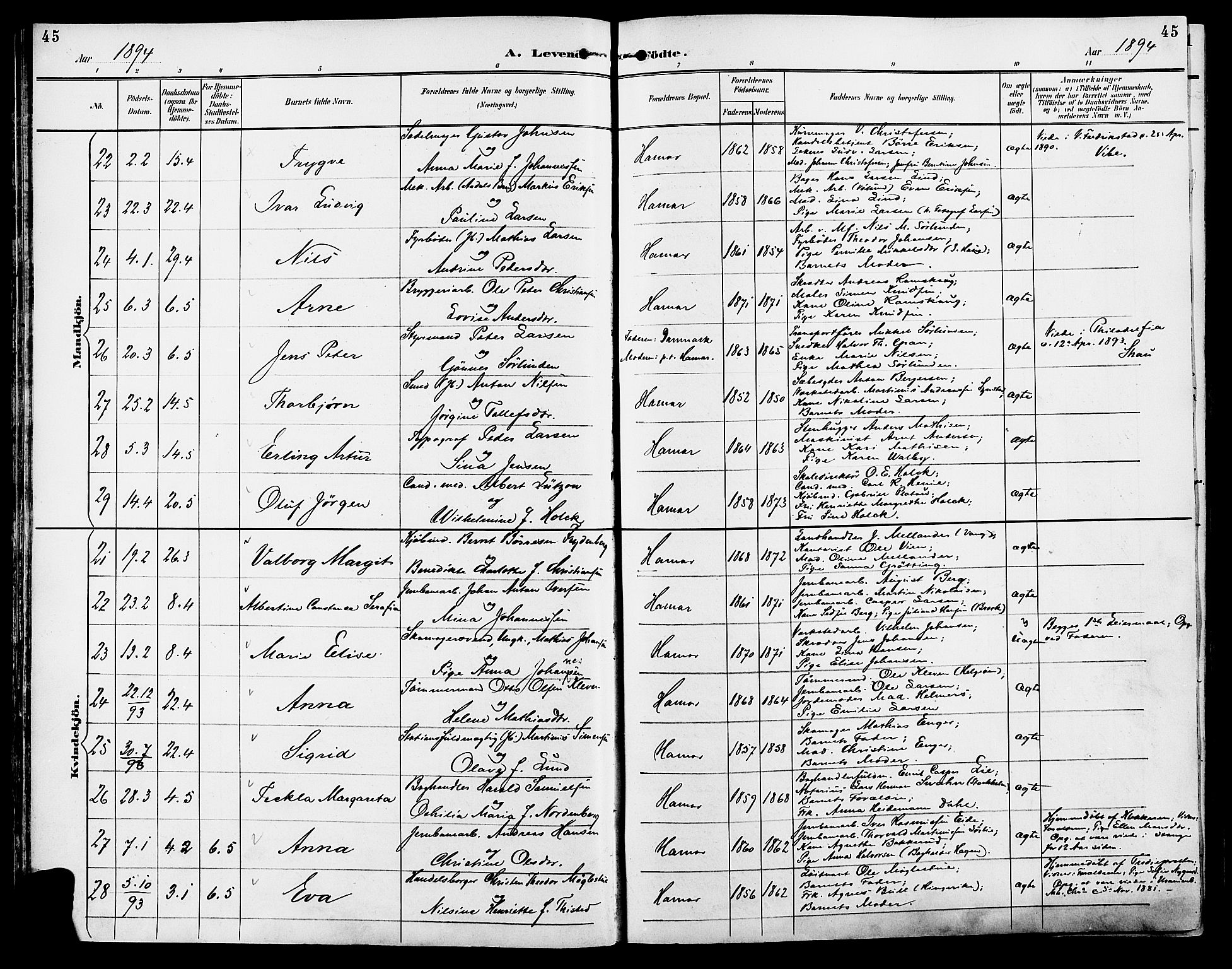 Vang prestekontor, Hedmark, SAH/PREST-008/H/Ha/Haa/L0017: Parish register (official) no. 17, 1890-1899, p. 45