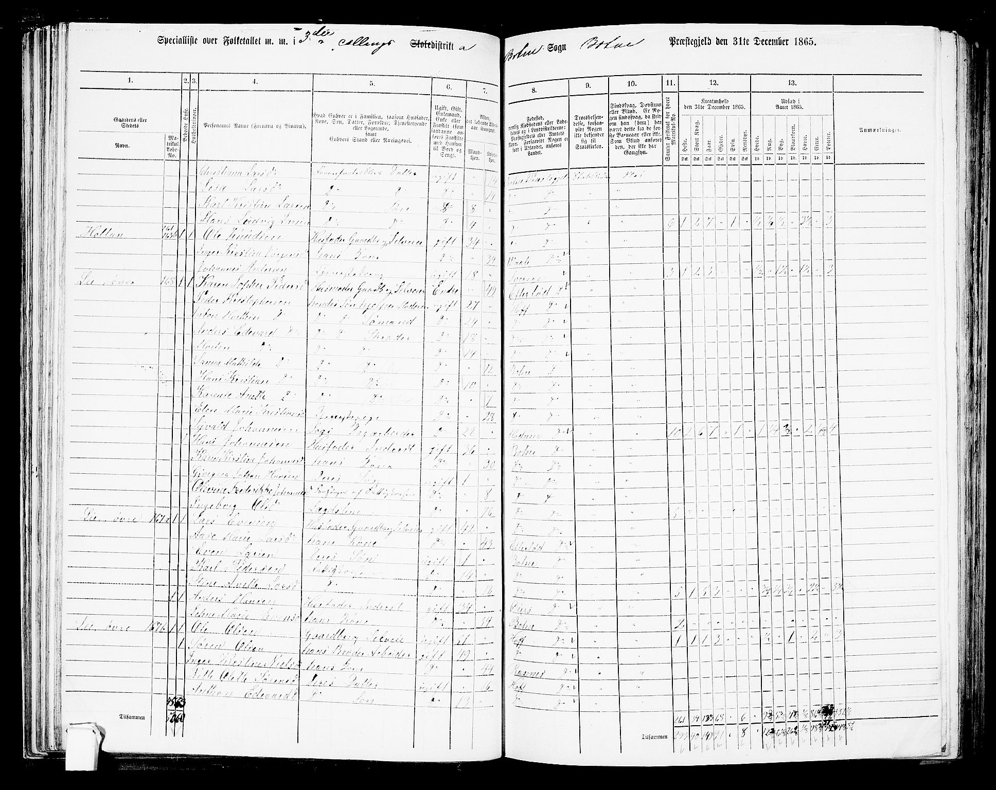 RA, 1865 census for Botne/Botne og Hillestad, 1865, p. 64