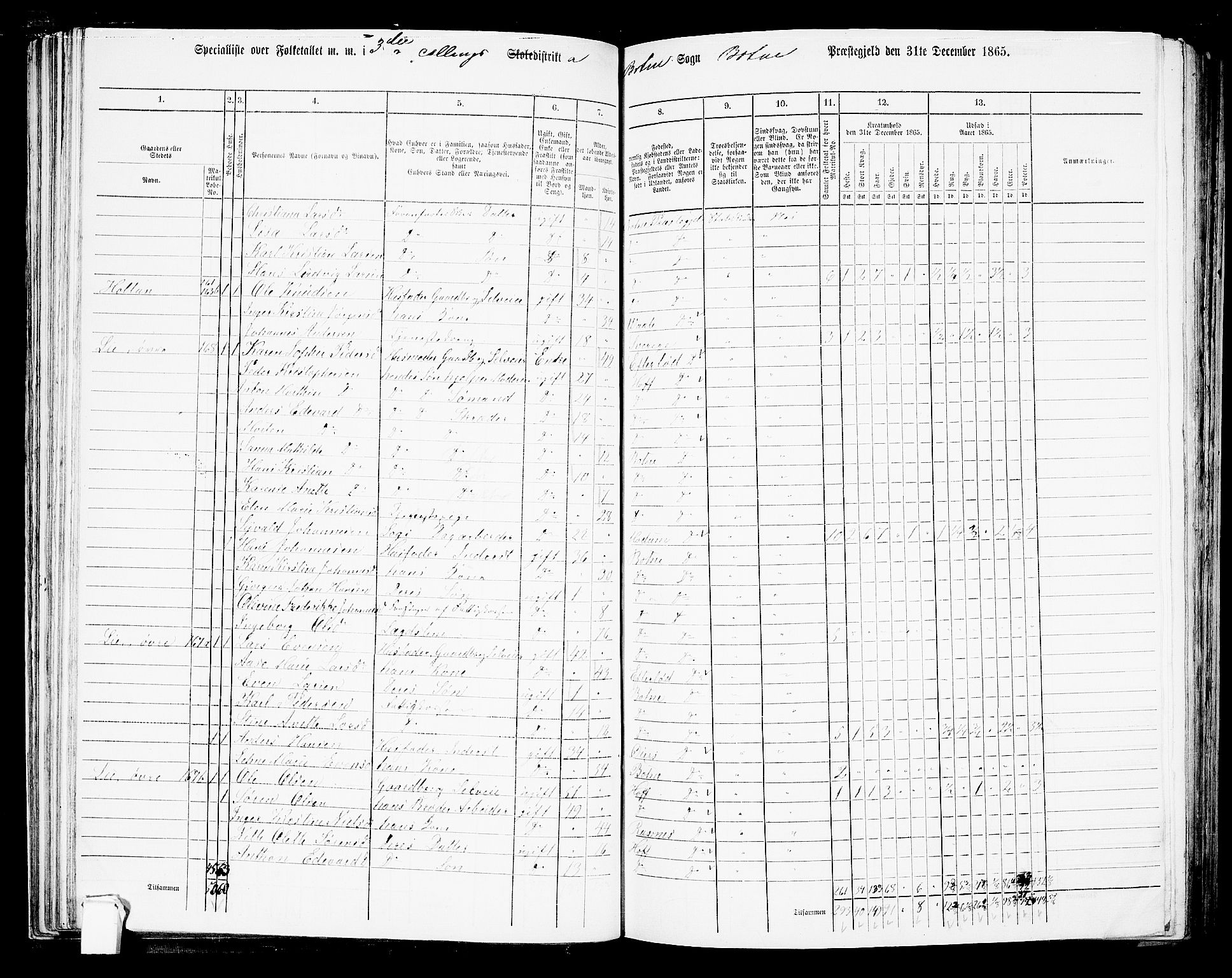 RA, 1865 census for Botne/Botne og Hillestad, 1865, p. 64