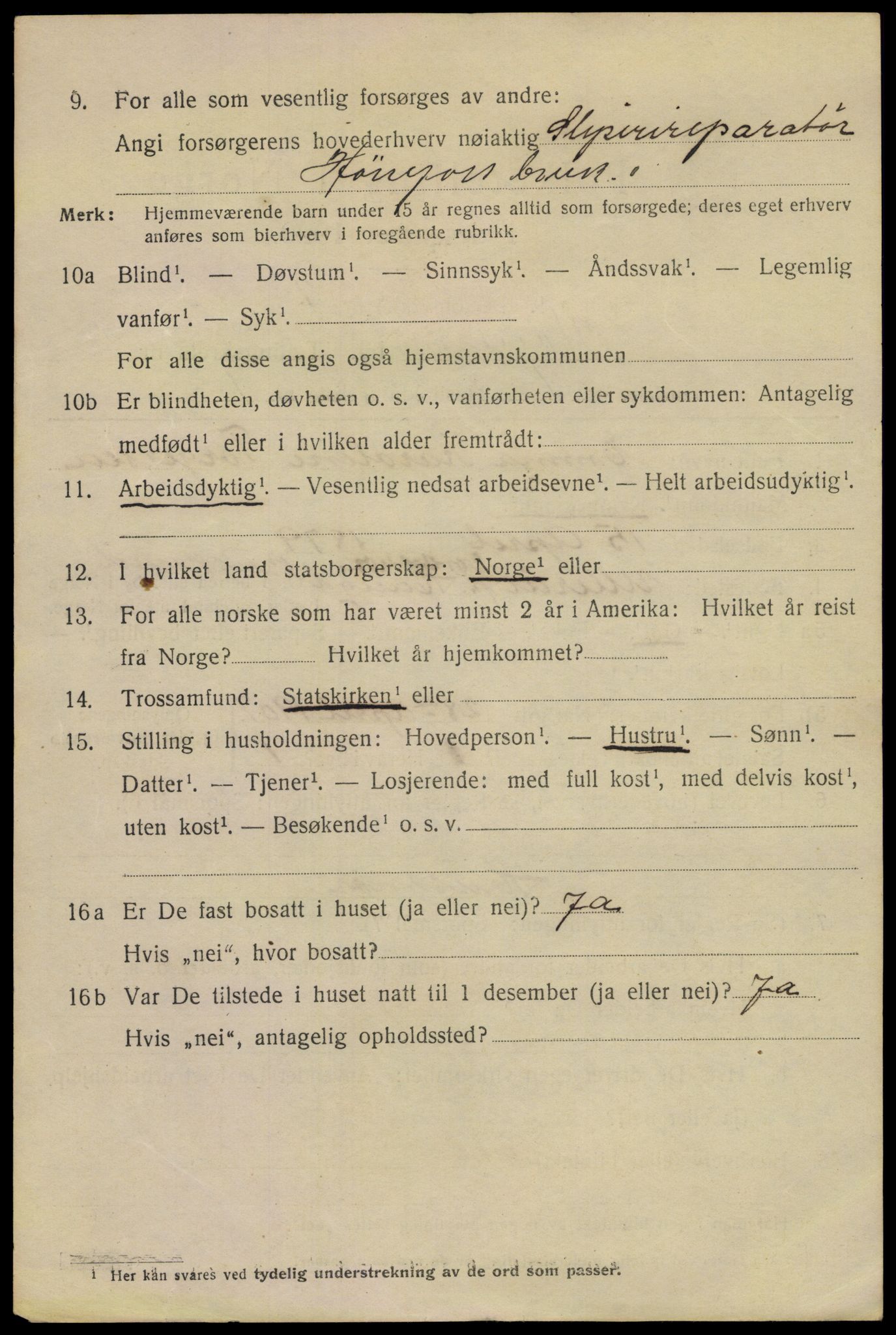 SAKO, 1920 census for Hønefoss, 1920, p. 3845