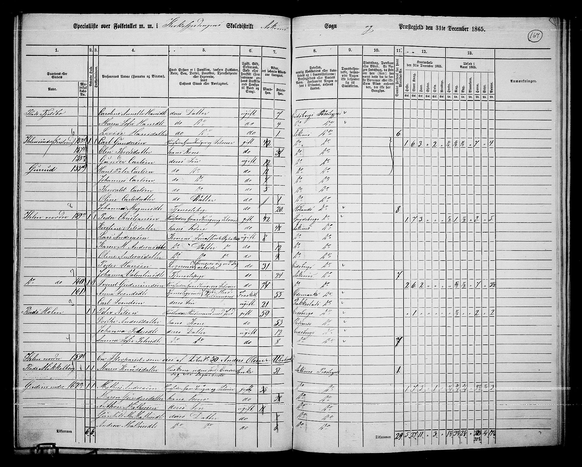 RA, 1865 census for Askim, 1865, p. 30