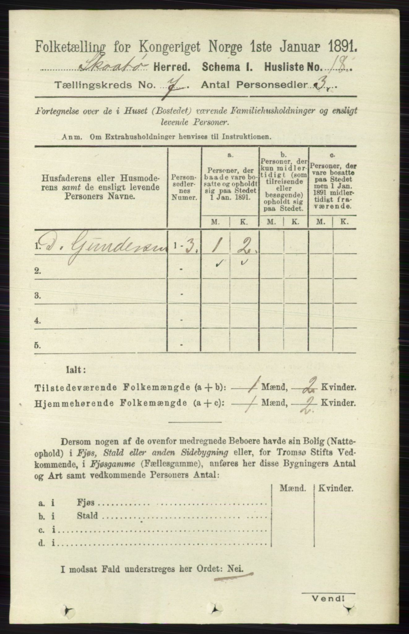 RA, 1891 census for 0815 Skåtøy, 1891, p. 3015