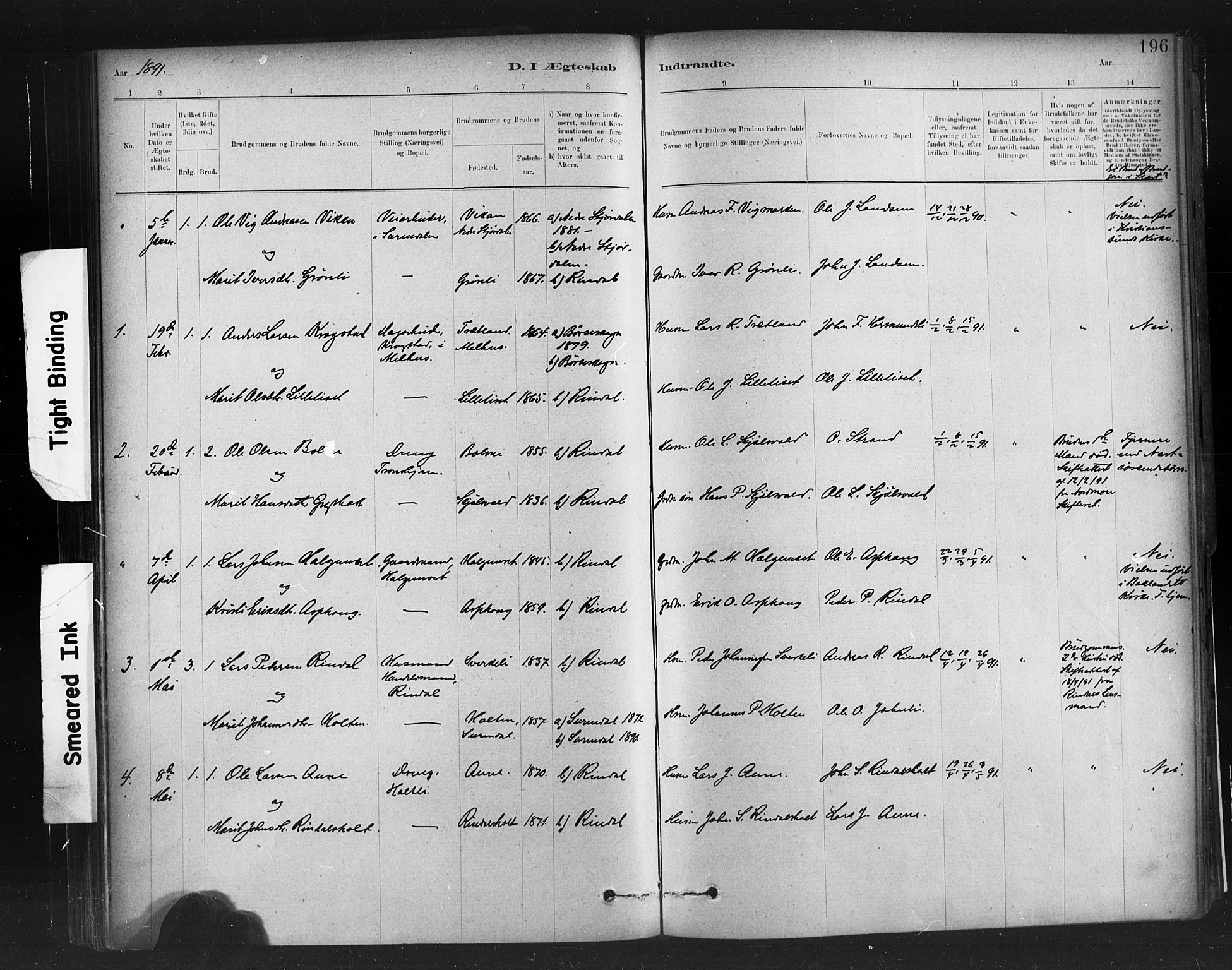 Ministerialprotokoller, klokkerbøker og fødselsregistre - Møre og Romsdal, AV/SAT-A-1454/598/L1069: Parish register (official) no. 598A03, 1882-1895, p. 196