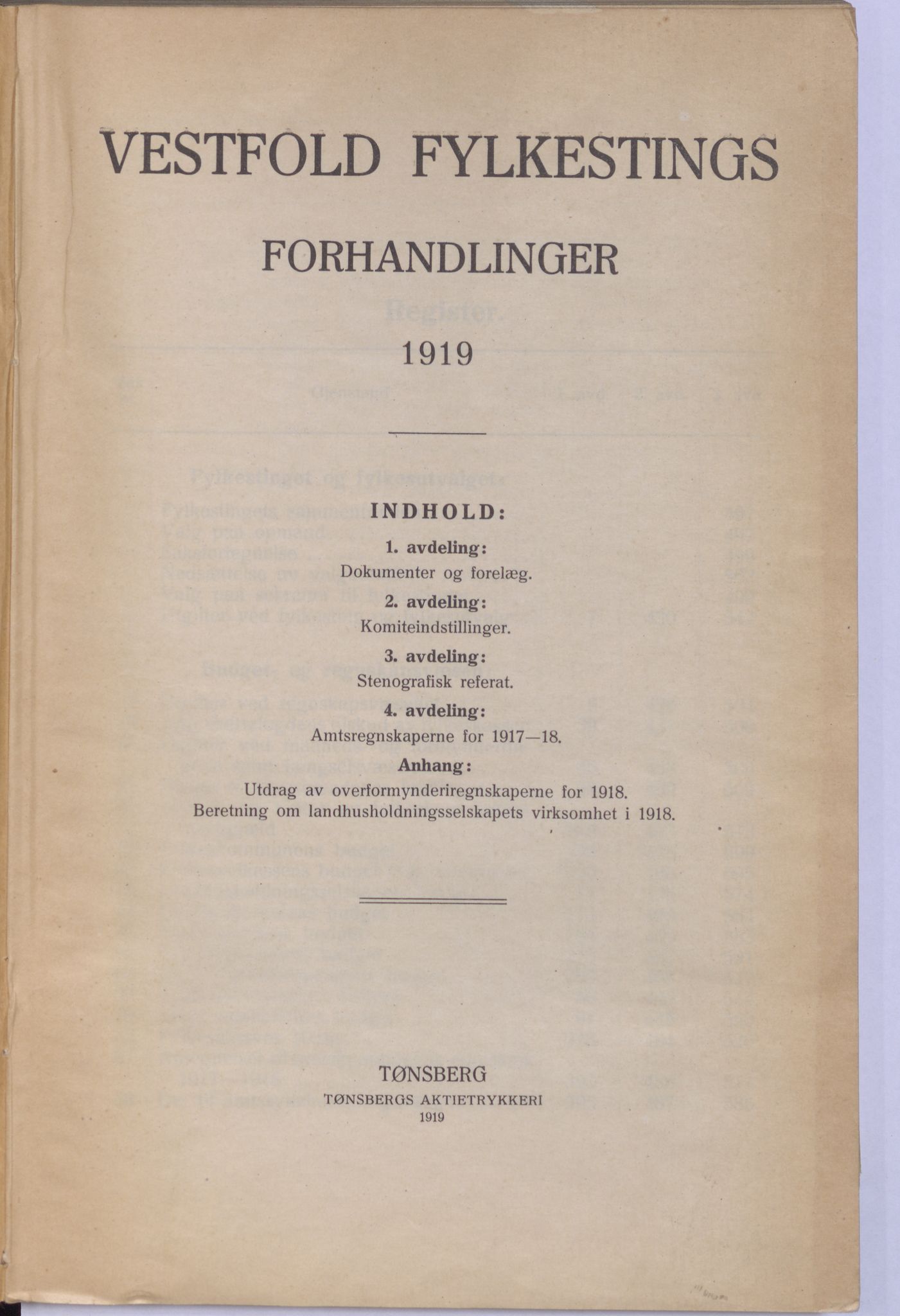 Vestfold fylkeskommune. Fylkestinget, VEMU/A-1315/A/Ab/Abb/L0066: Fylkestingsforhandlinger, 1919