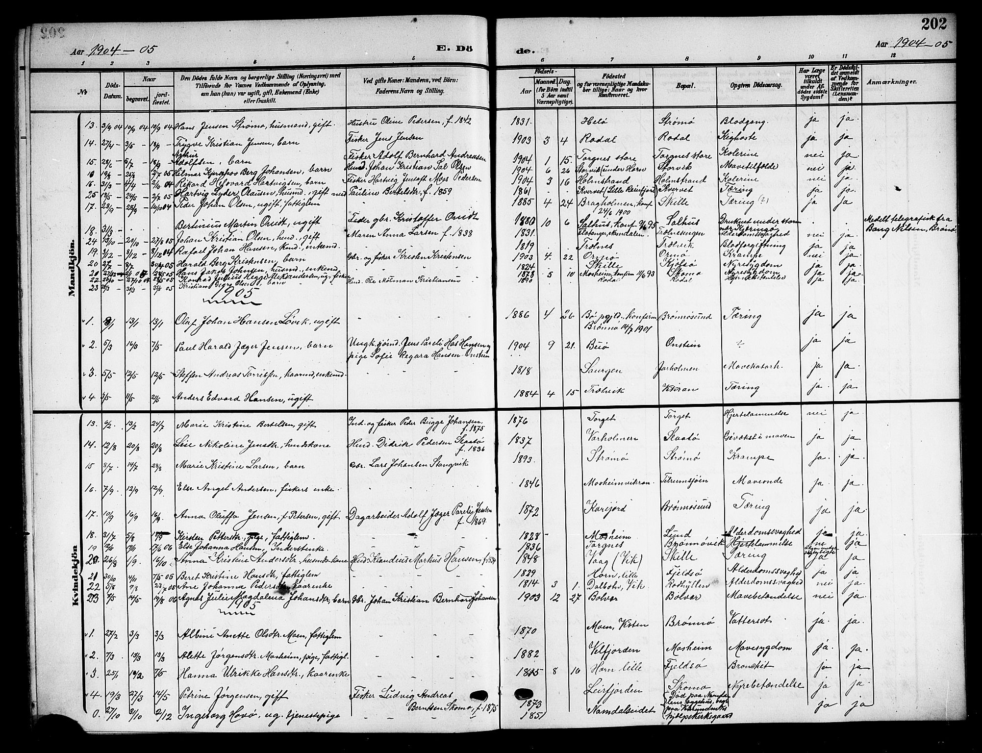 Ministerialprotokoller, klokkerbøker og fødselsregistre - Nordland, SAT/A-1459/813/L0214: Parish register (copy) no. 813C06, 1904-1917, p. 202
