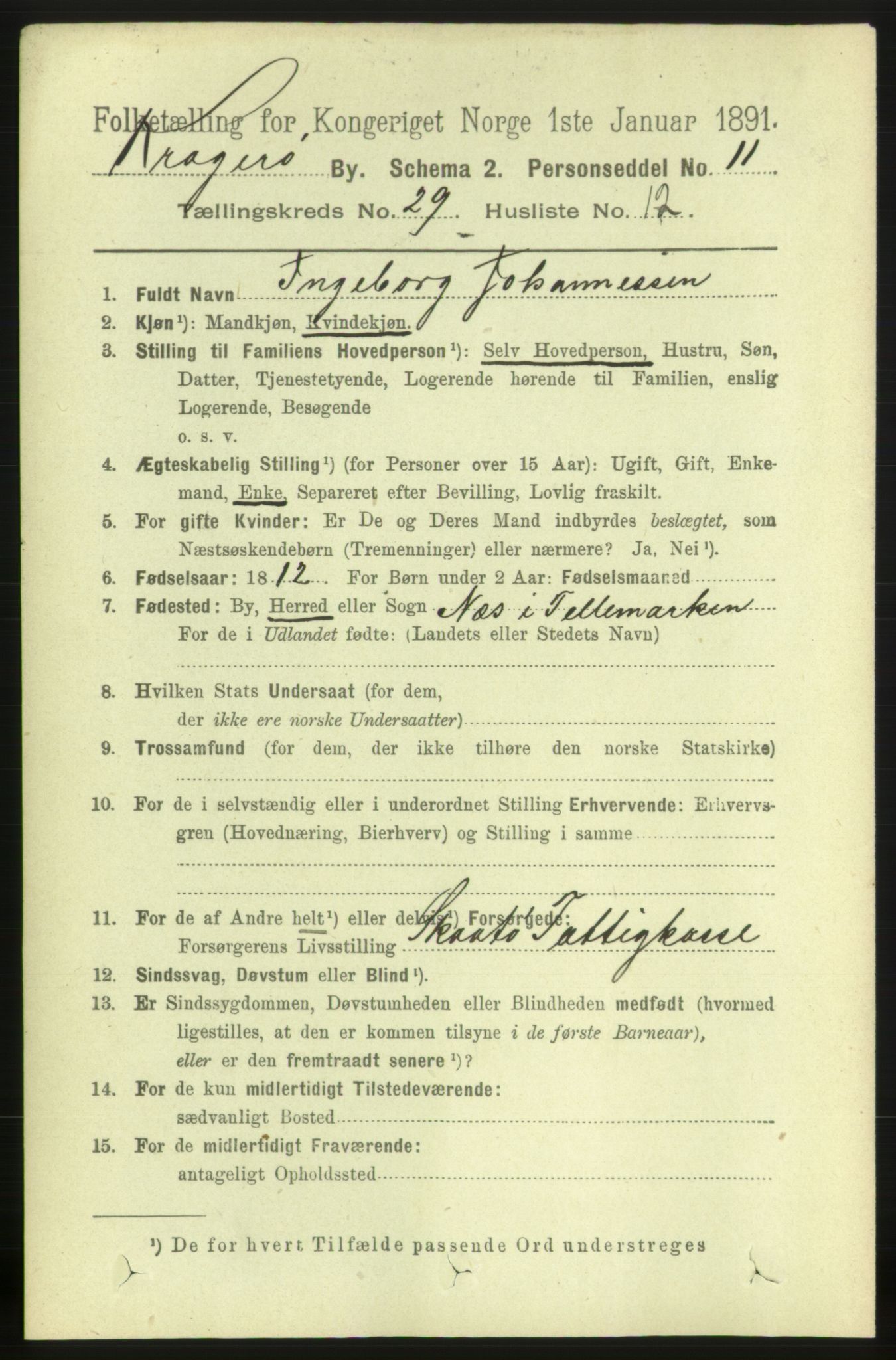 RA, 1891 census for 0801 Kragerø, 1891, p. 5547