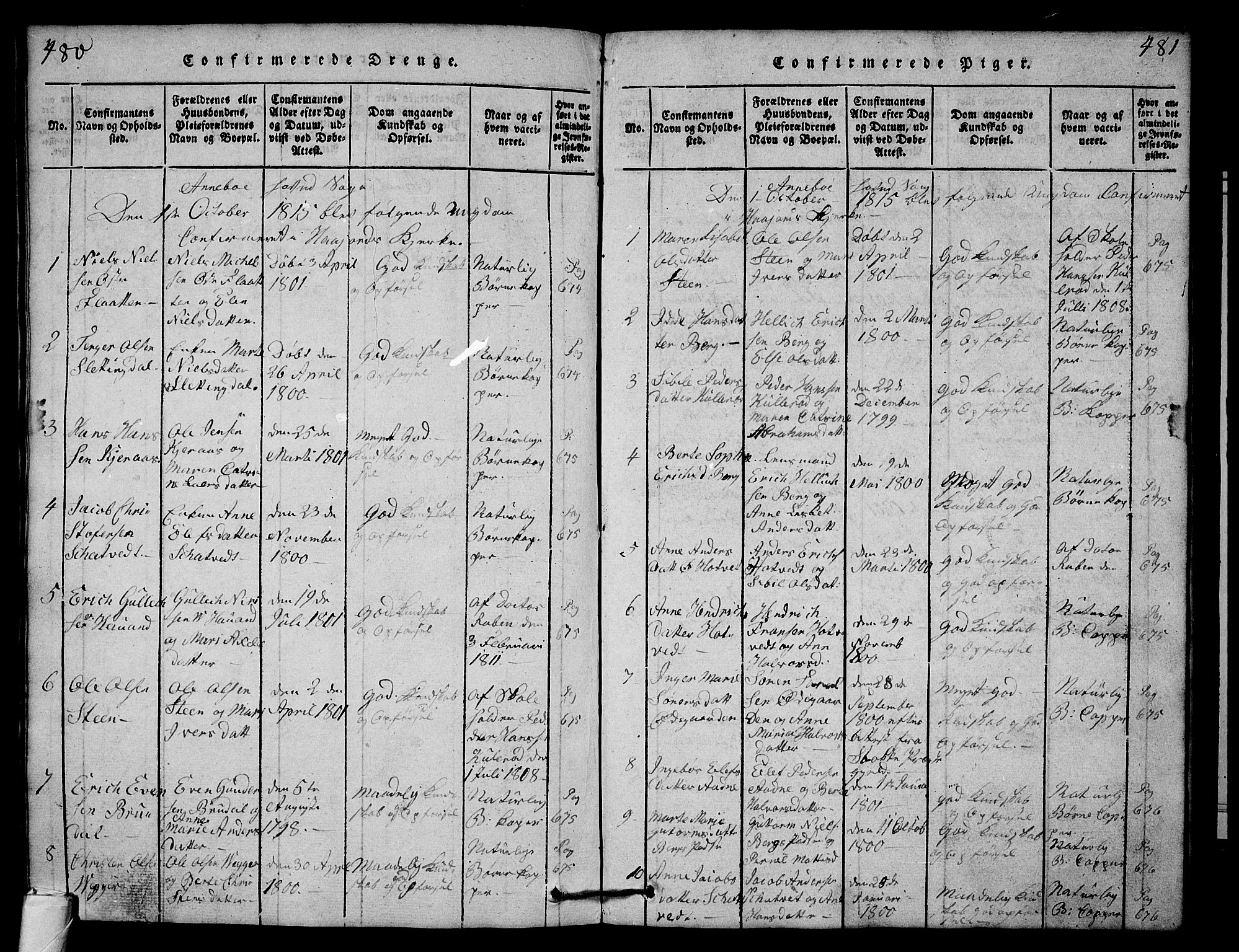 Andebu kirkebøker, SAKO/A-336/G/Ga/L0001: Parish register (copy) no. I 1 /1, 1815-1823, p. 480-481