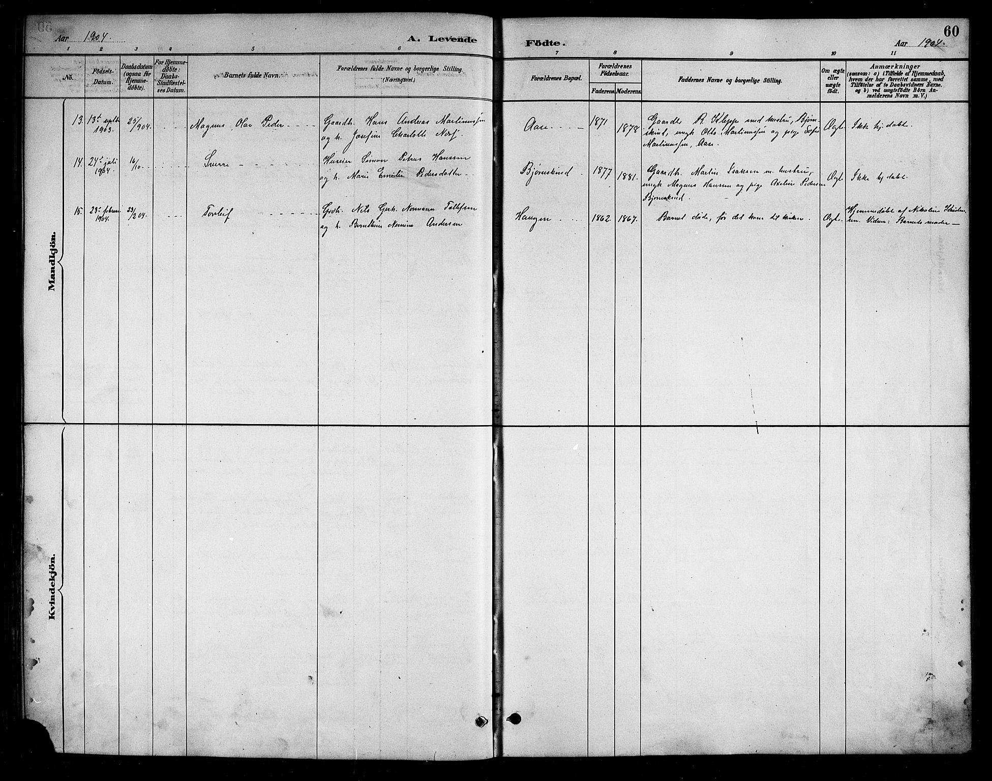 Ministerialprotokoller, klokkerbøker og fødselsregistre - Nordland, AV/SAT-A-1459/898/L1427: Parish register (copy) no. 898C02, 1887-1917, p. 60