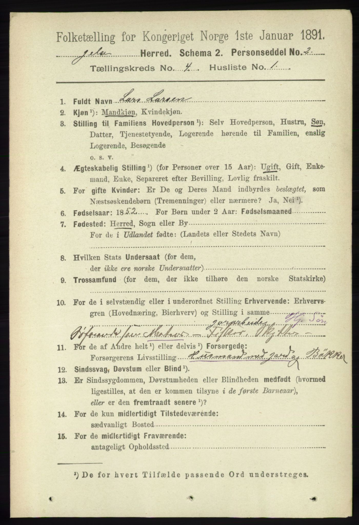 RA, 1891 census for 1138 Jelsa, 1891, p. 708