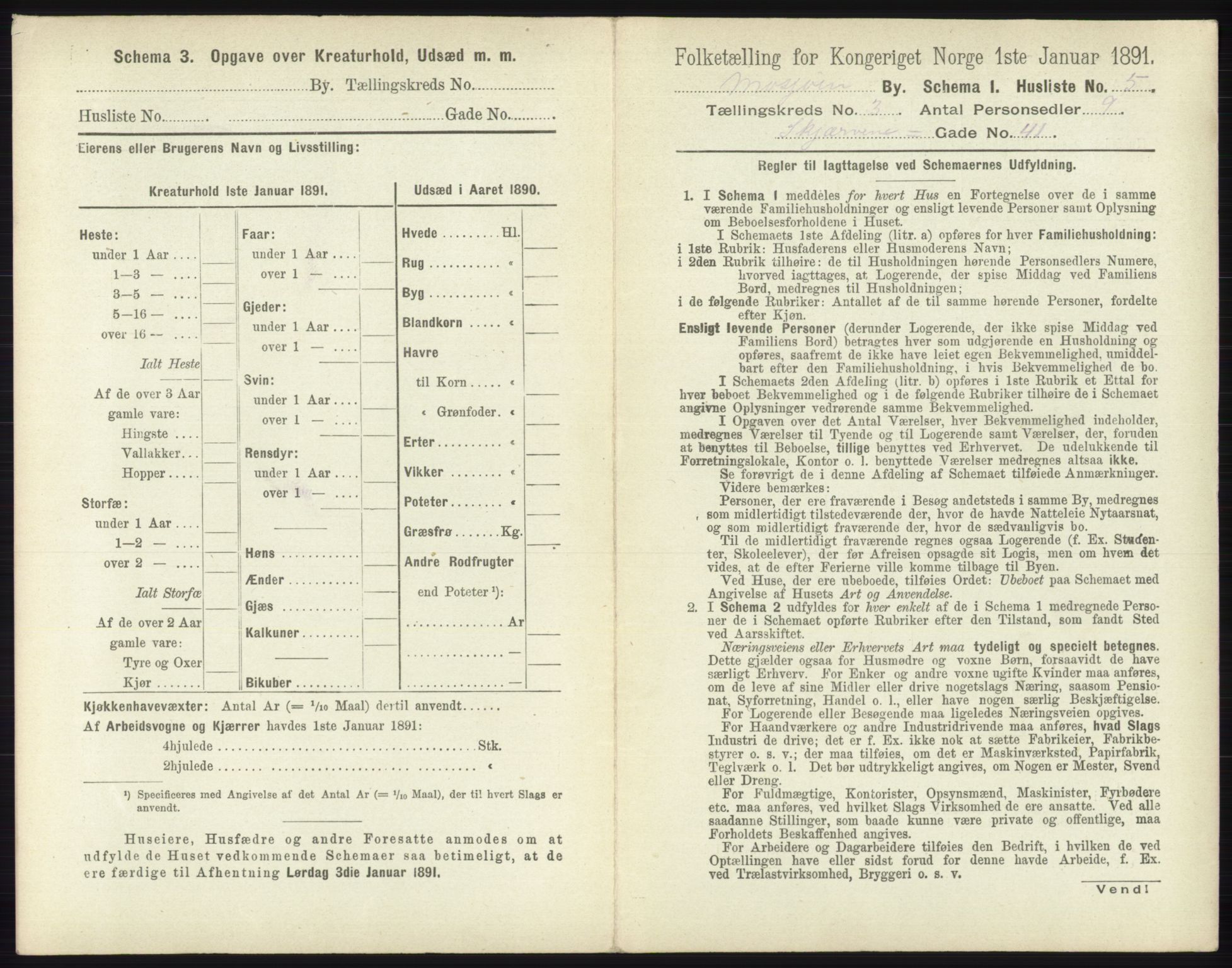 RA, 1891 census for 1802 Mosjøen, 1891, p. 1136