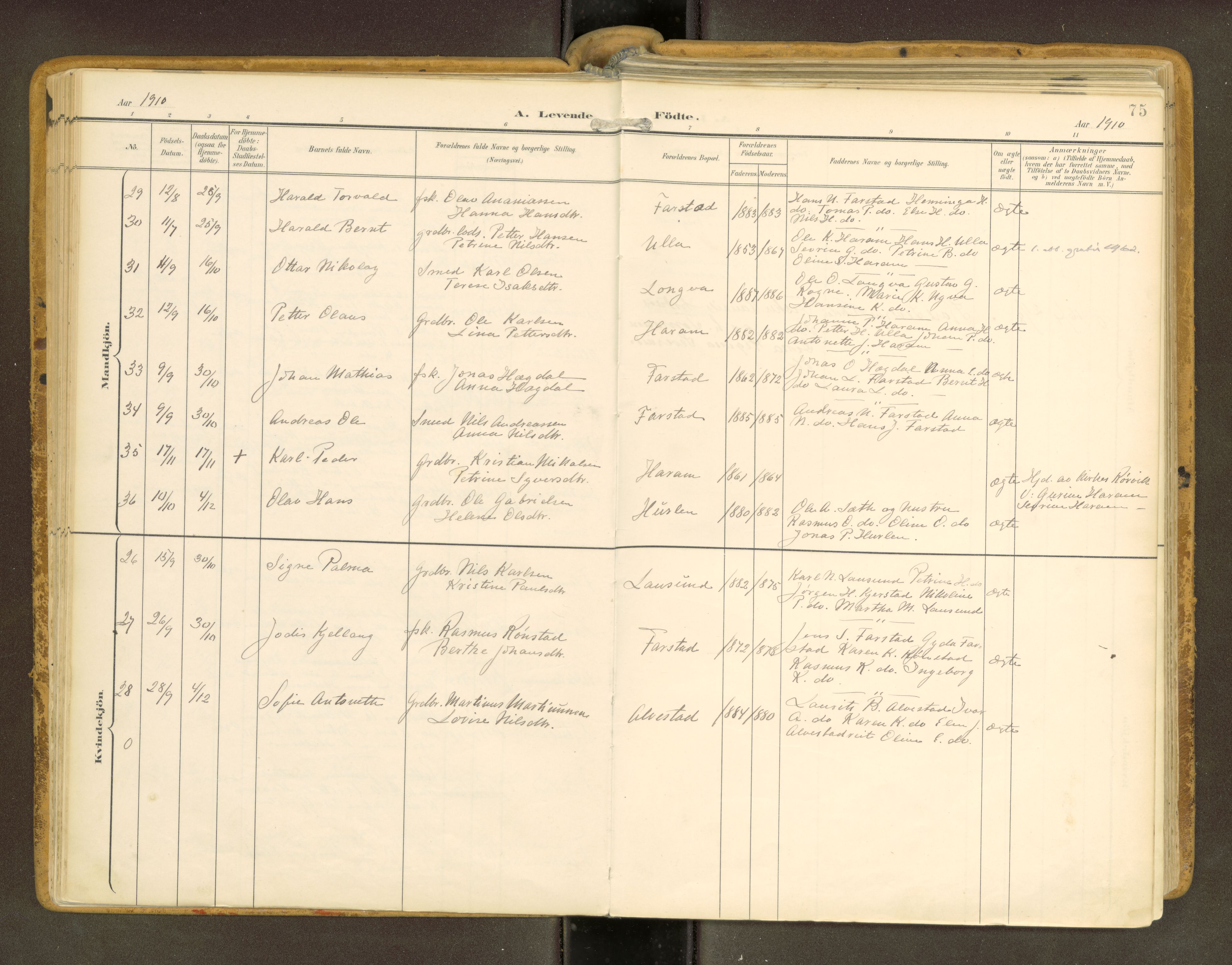 Ministerialprotokoller, klokkerbøker og fødselsregistre - Møre og Romsdal, AV/SAT-A-1454/536/L0517: Parish register (official) no. 536A--, 1897-1917, p. 75