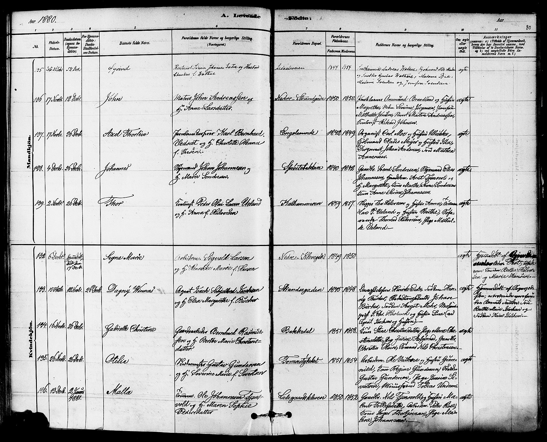 Domkirken sokneprestkontor, AV/SAST-A-101812/001/30/30BA/L0026: Parish register (official) no. A 25, 1878-1889, p. 80