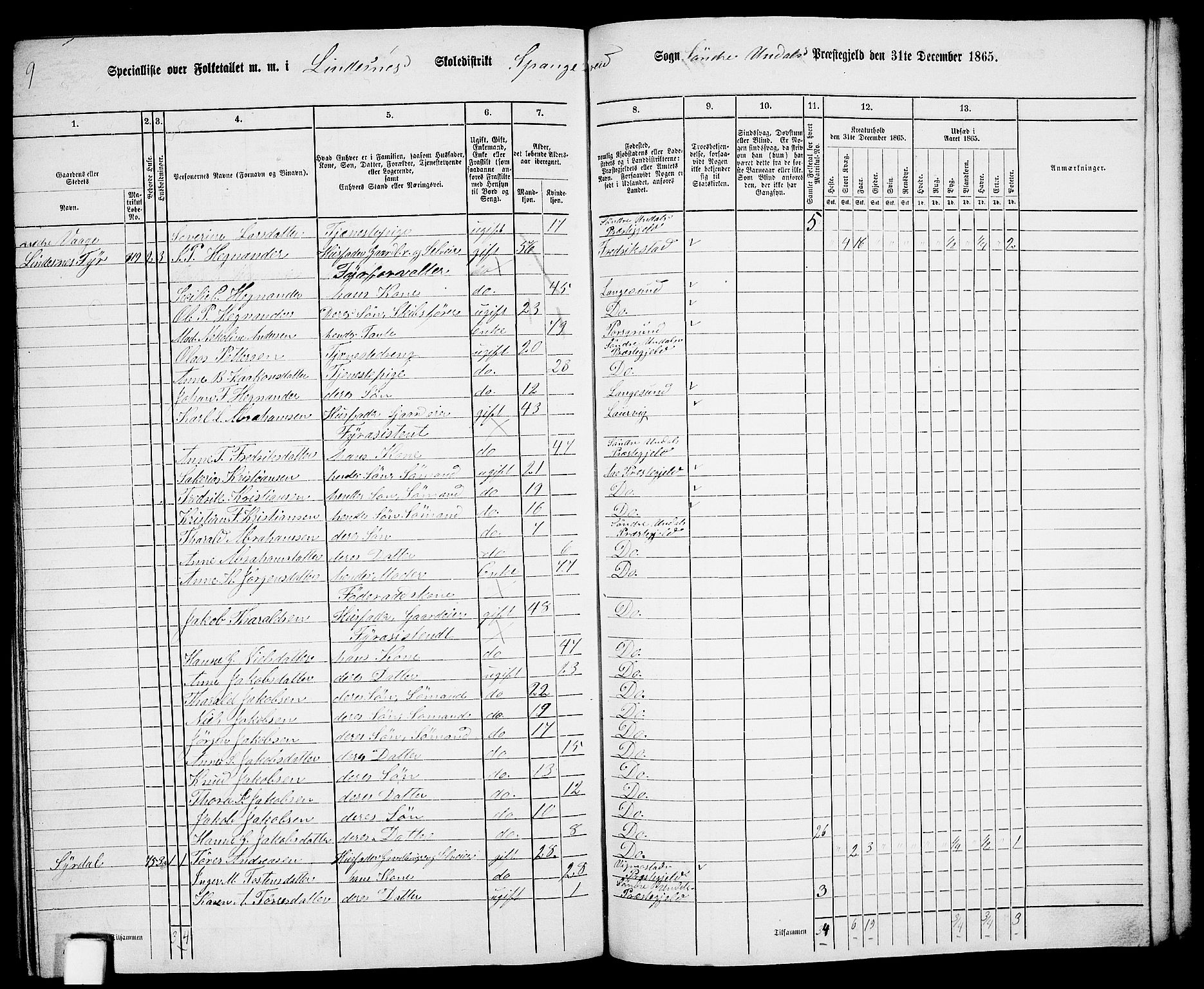 RA, 1865 census for Sør-Audnedal, 1865, p. 191