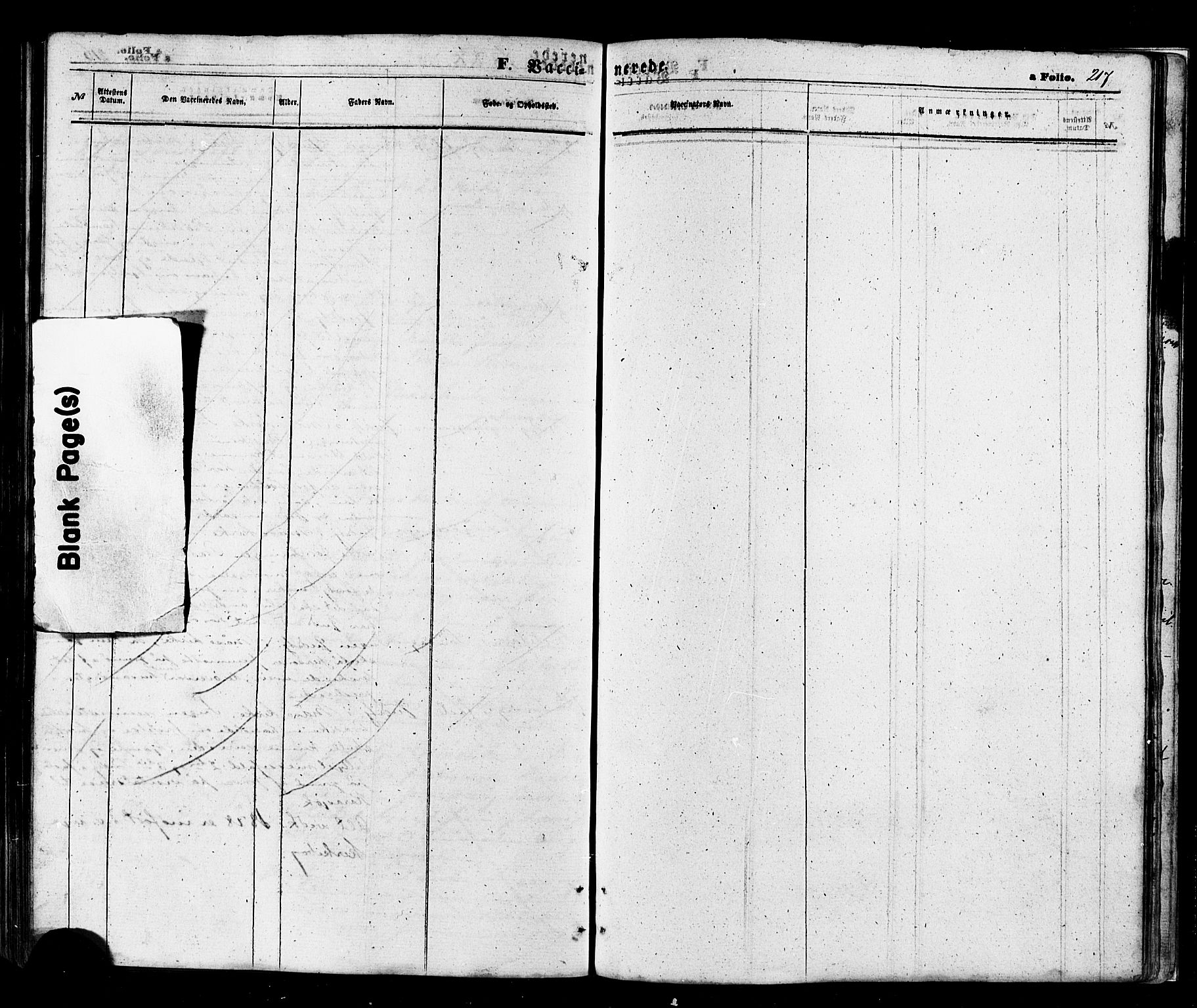 Måsøy sokneprestkontor, AV/SATØ-S-1348/H/Ha/L0003kirke: Parish register (official) no. 3, 1866-1877, p. 217