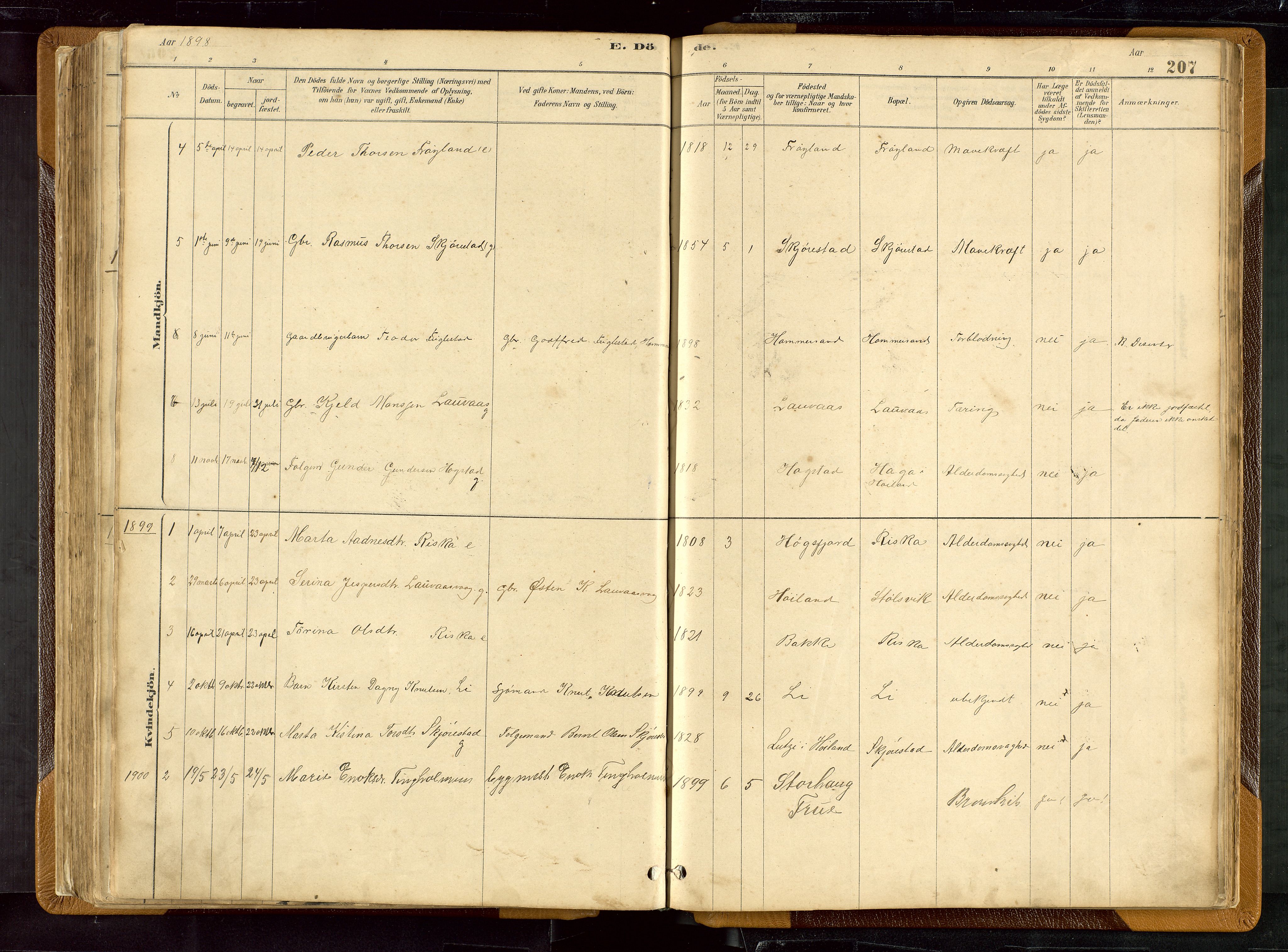 Hetland sokneprestkontor, SAST/A-101826/30/30BB/L0007: Parish register (copy) no. B 7, 1878-1910, p. 207