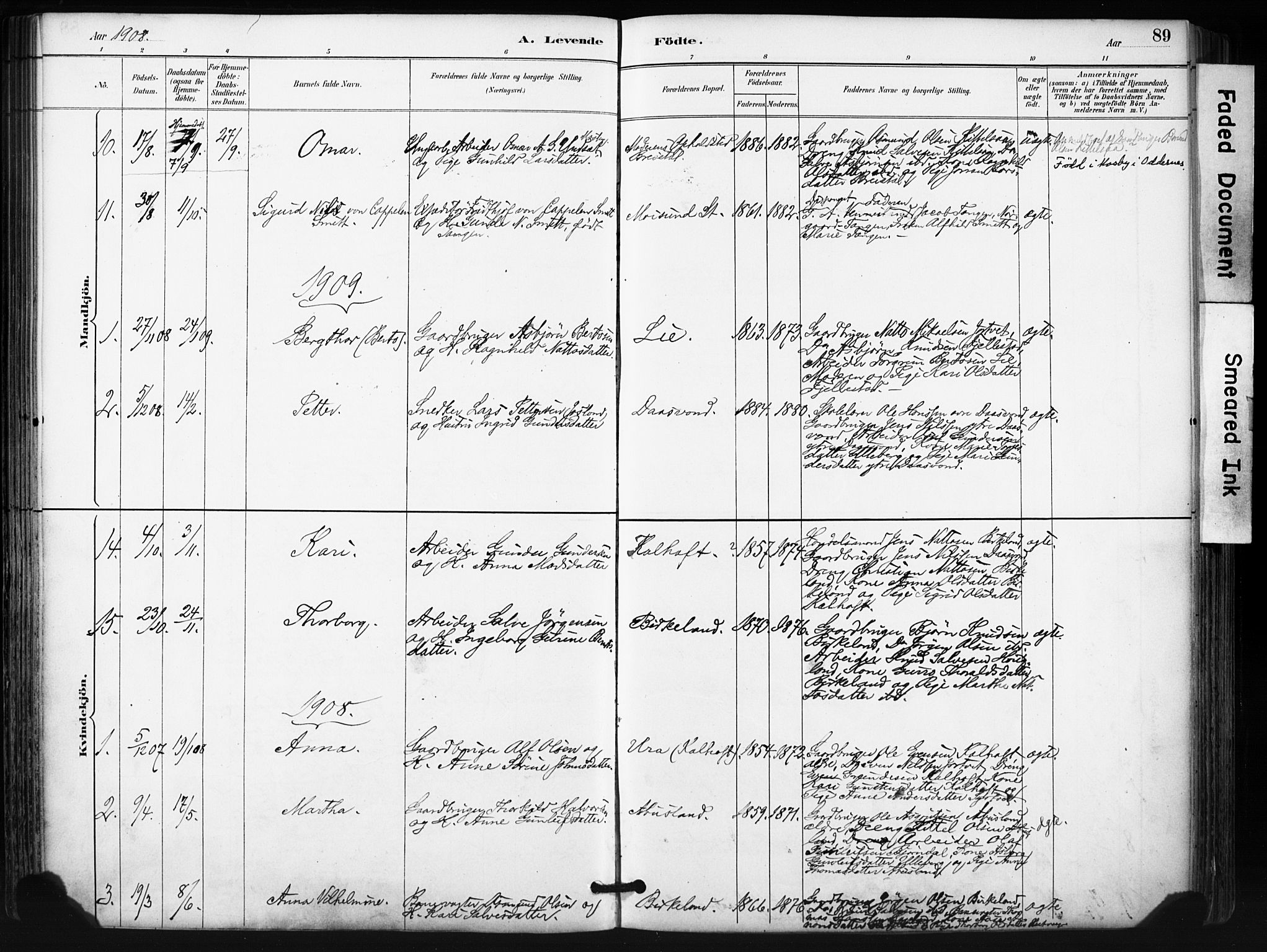 Evje sokneprestkontor, SAK/1111-0008/F/Fa/Fab/L0003: Parish register (official) no. A 3, 1884-1909, p. 89