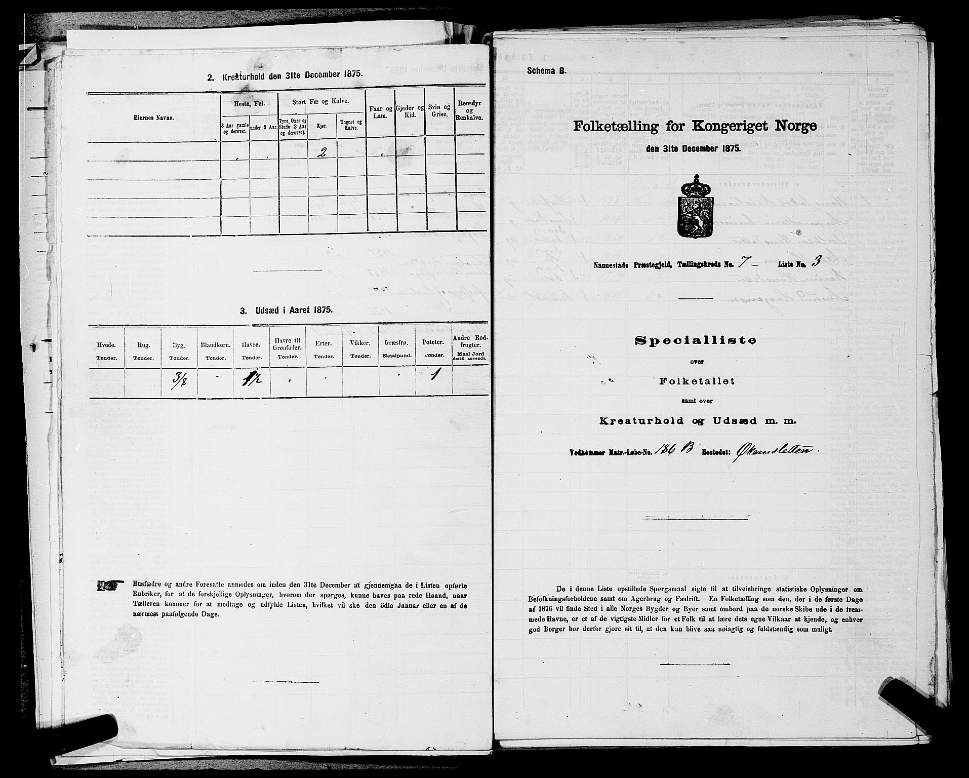 RA, 1875 census for 0238P Nannestad, 1875, p. 1005