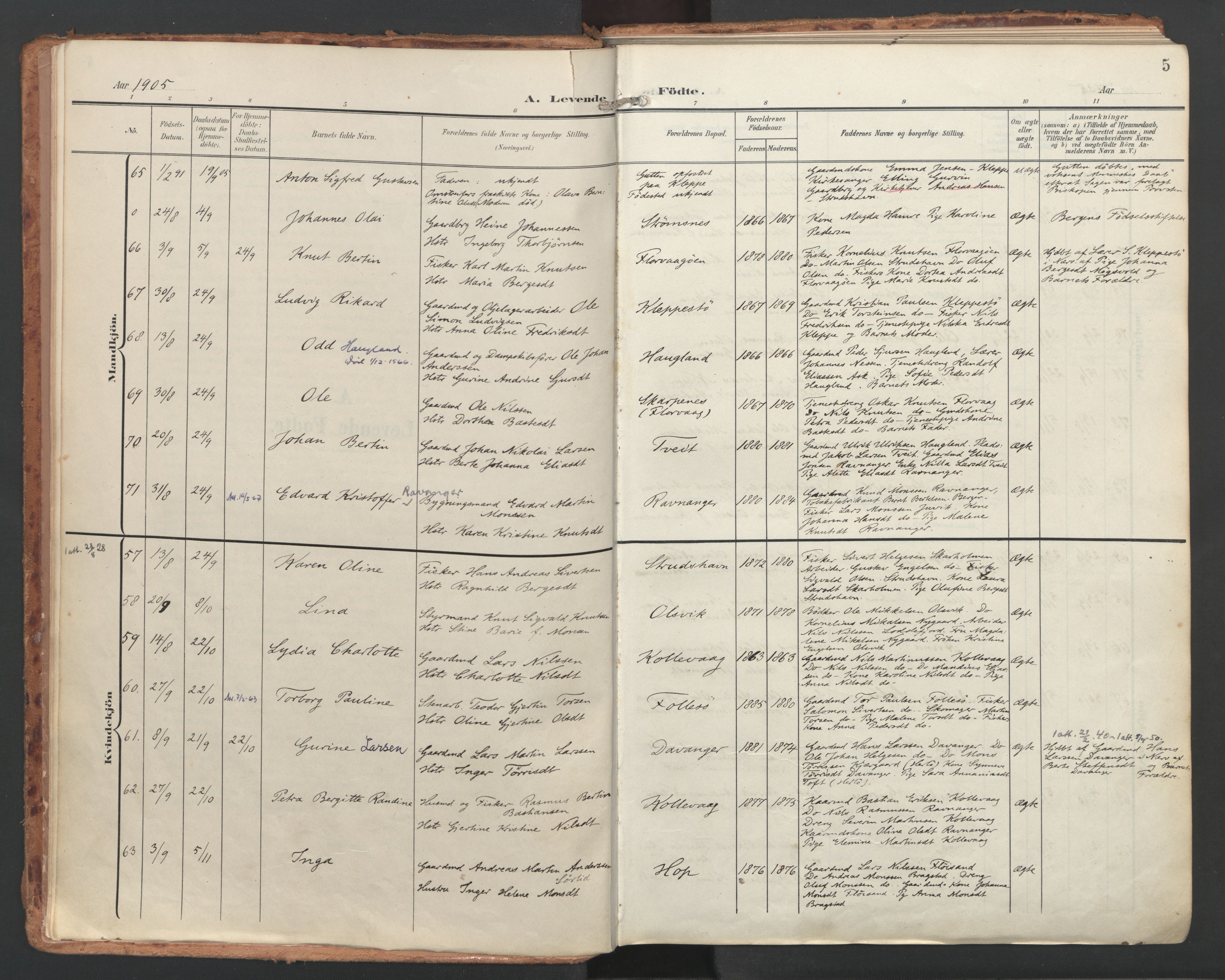 Askøy Sokneprestembete, SAB/A-74101/H/Ha/Haa/Haac/L0002: Parish register (official) no. C 2, 1905-1922, p. 5