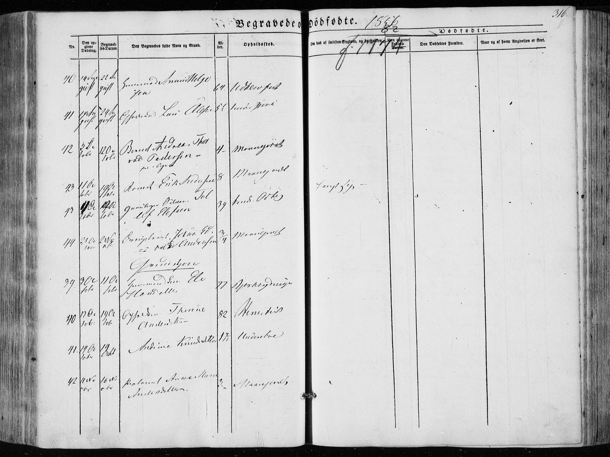 Hedrum kirkebøker, AV/SAKO-A-344/F/Fa/L0006: Parish register (official) no. I 6, 1849-1857, p. 316