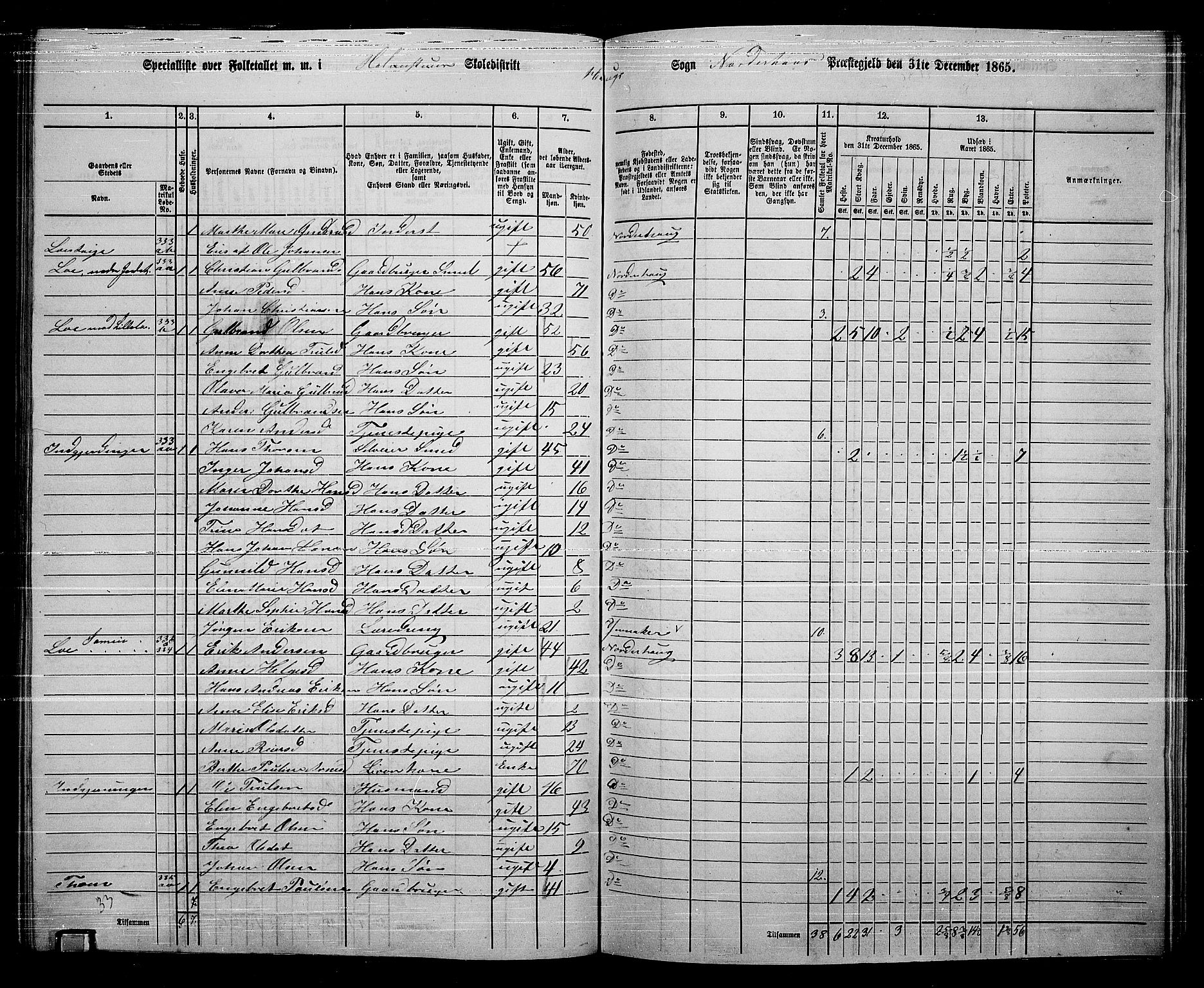 RA, 1865 census for Norderhov/Norderhov, Haug og Lunder, 1865, p. 239