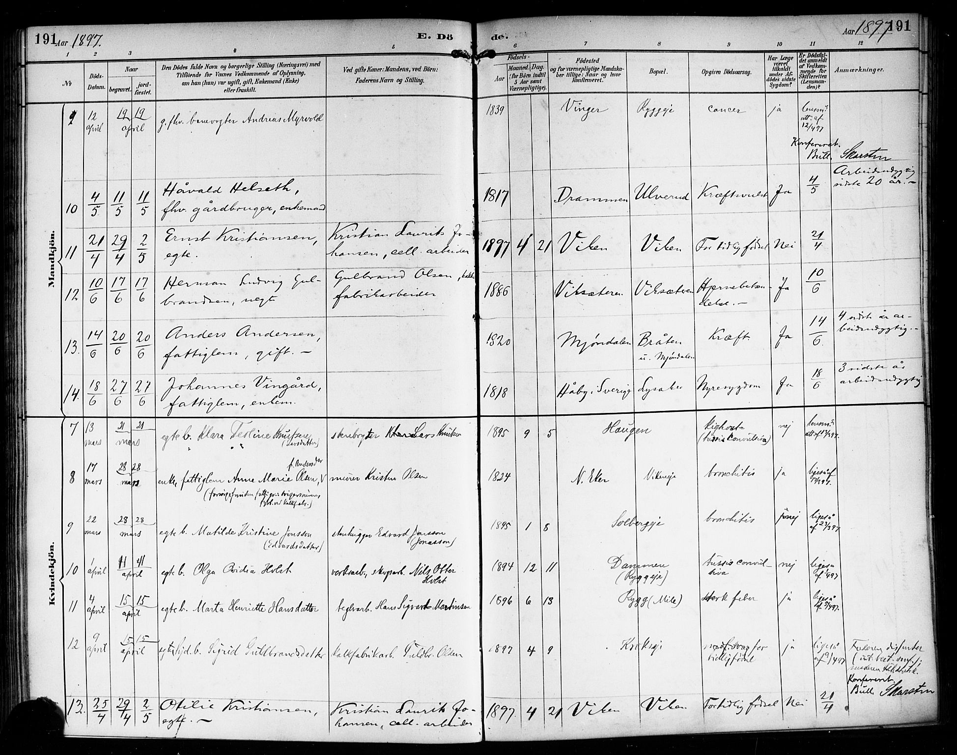Nedre Eiker kirkebøker, AV/SAKO-A-612/F/Fa/L0004: Parish register (official) no. 4, 1893-1898, p. 191
