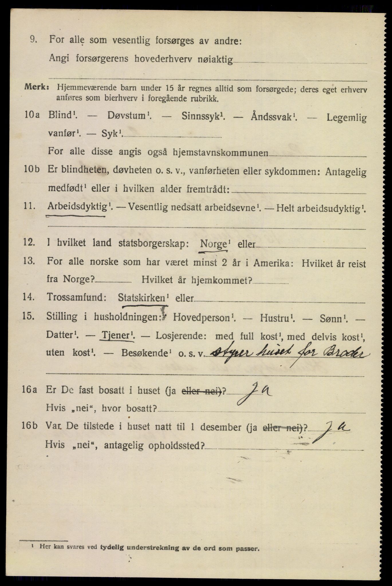 SAKO, 1920 census for Porsgrunn, 1920, p. 17320