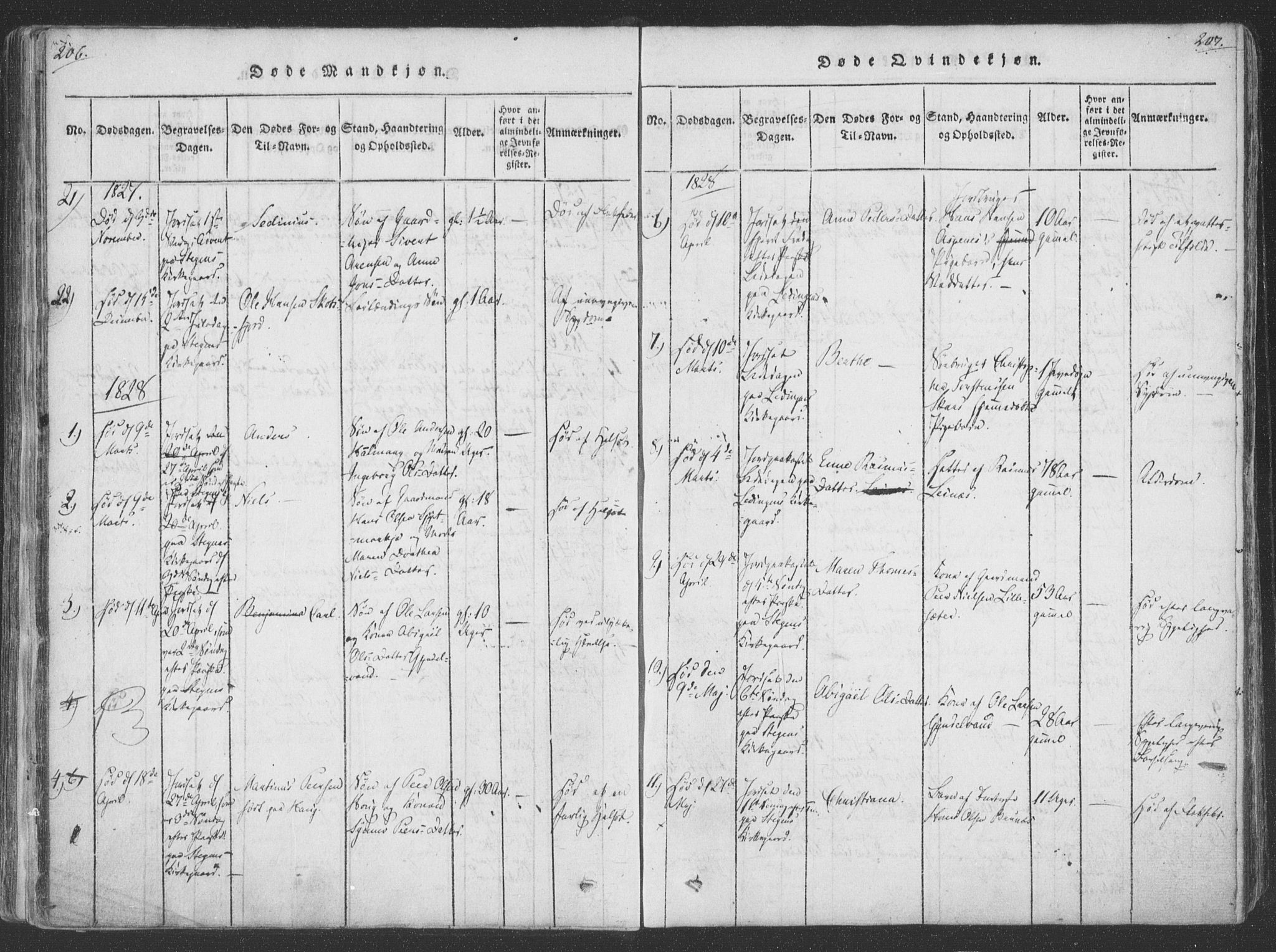 Ministerialprotokoller, klokkerbøker og fødselsregistre - Nordland, SAT/A-1459/855/L0798: Parish register (official) no. 855A06, 1821-1835, p. 206-207