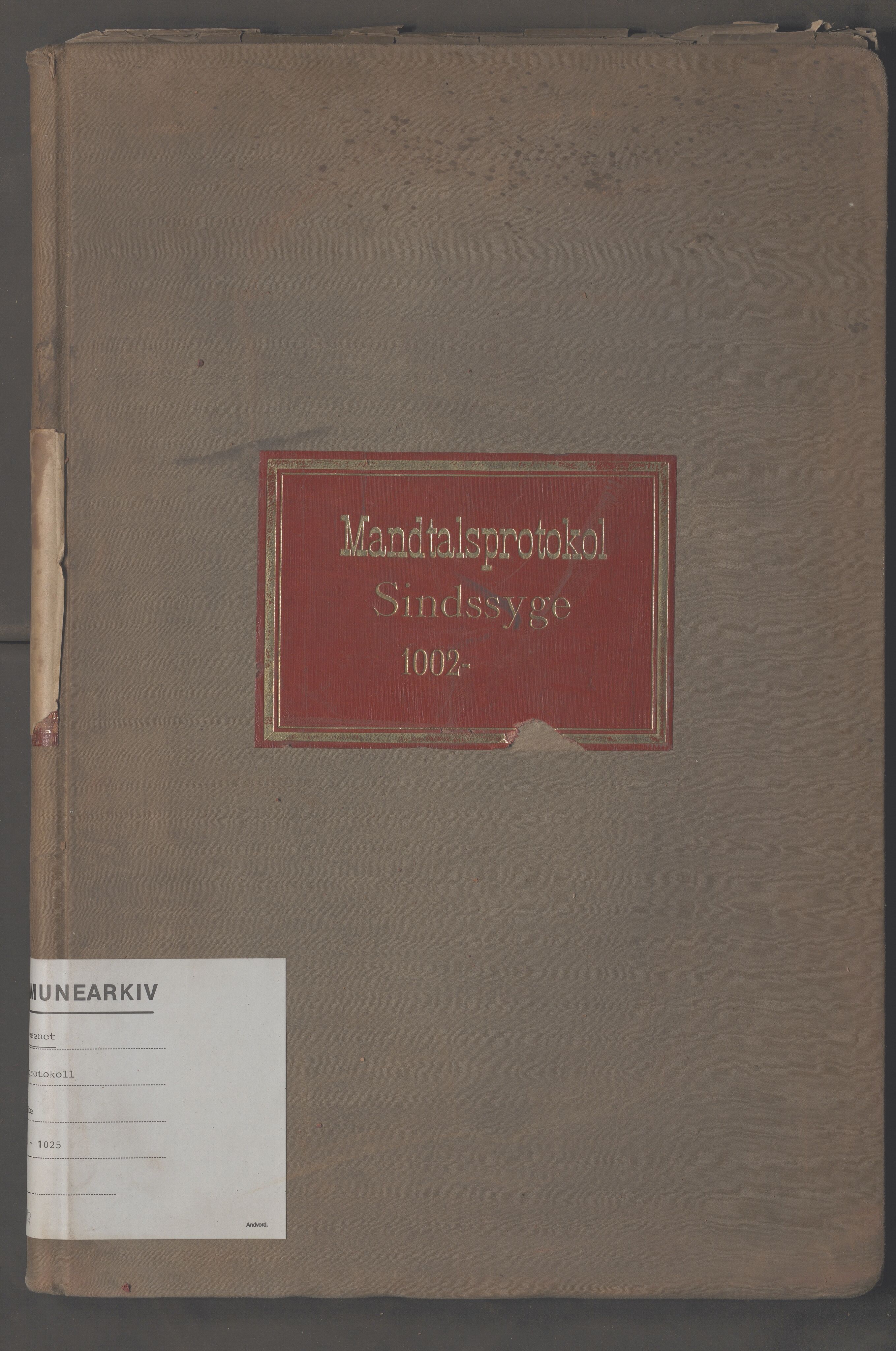 Fattigvesenet, OBA/A-20045/H/Hb/L0012: Manntallsprotokoll for sinnssyke. Mnr. 100-1025, 1905, p. 1