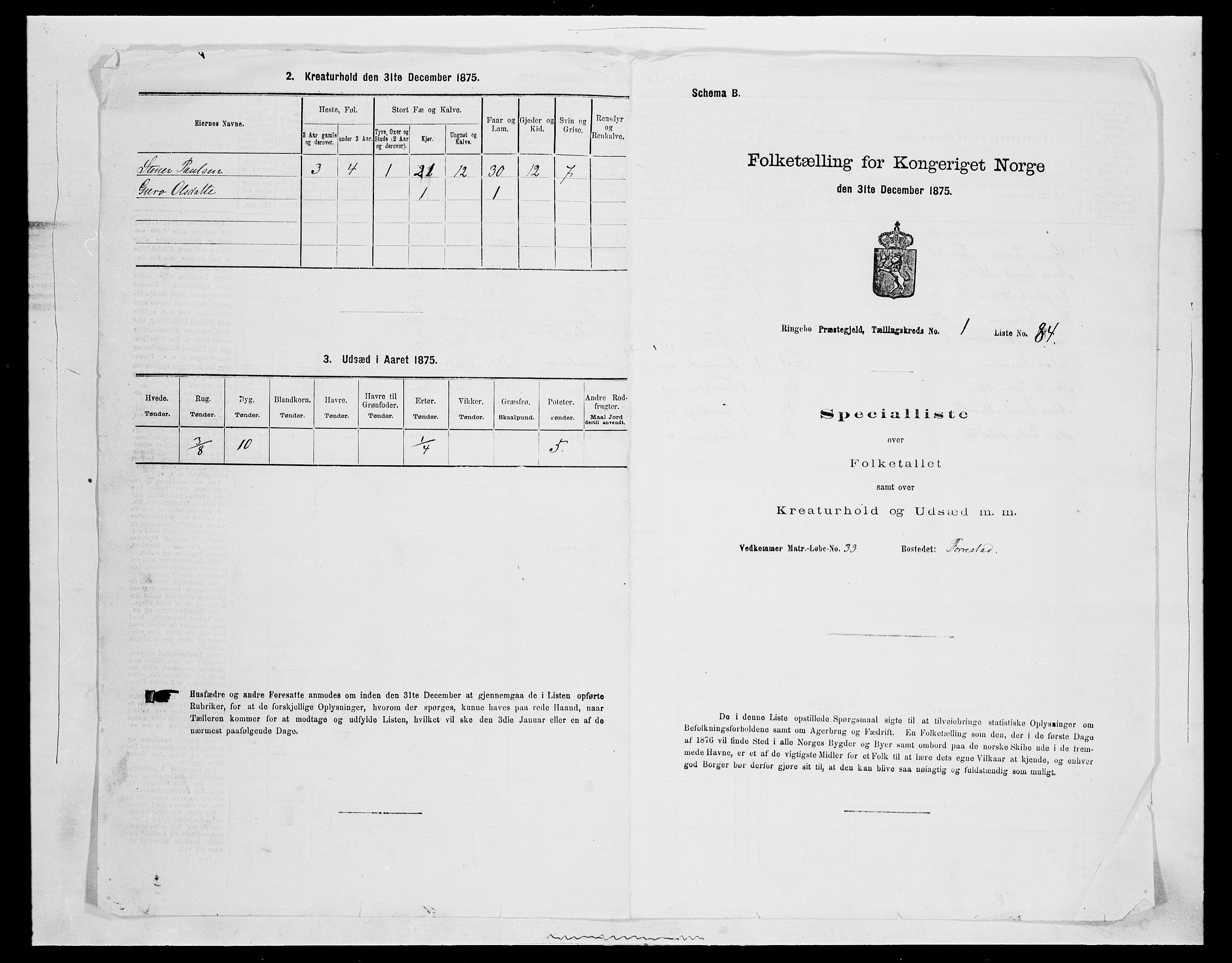 SAH, 1875 census for 0520P Ringebu, 1875, p. 254