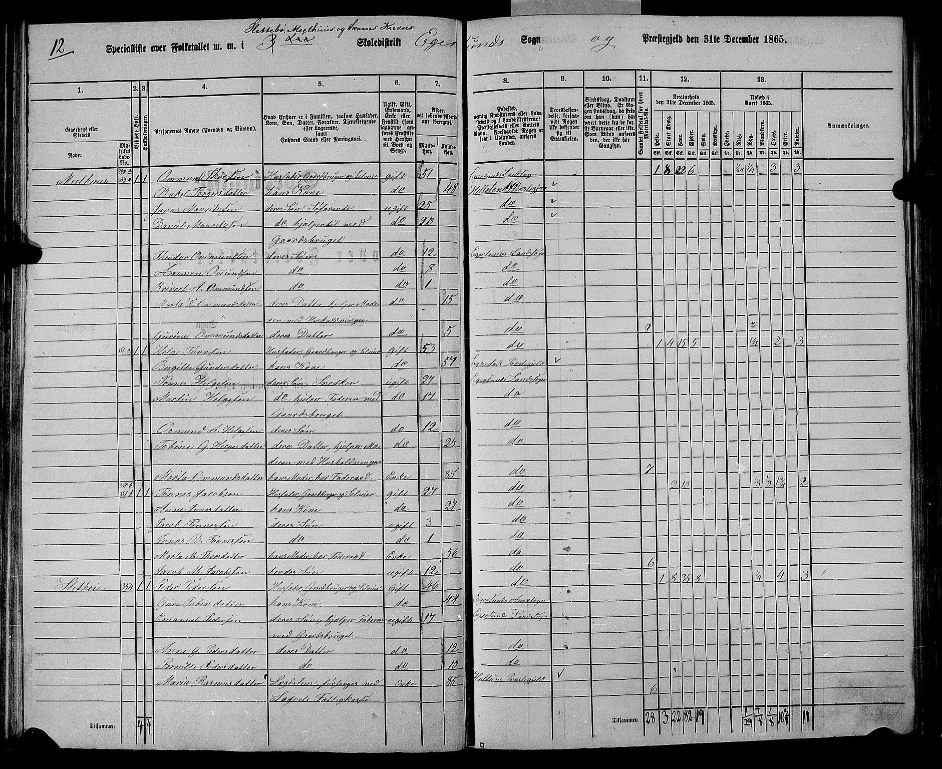 RA, 1865 census for Eigersund/Eigersund og Ogna, 1865, p. 70