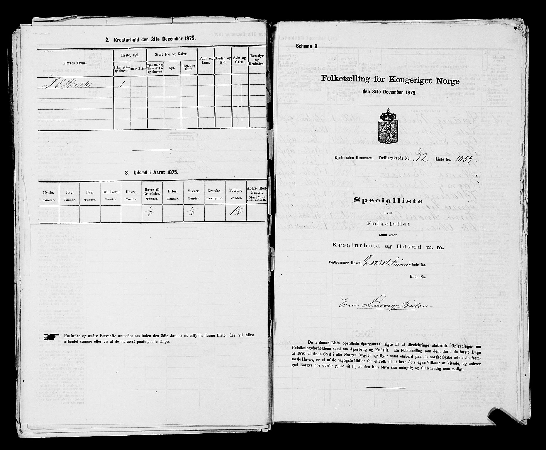 SAKO, 1875 census for 0602 Drammen, 1875, p. 2911