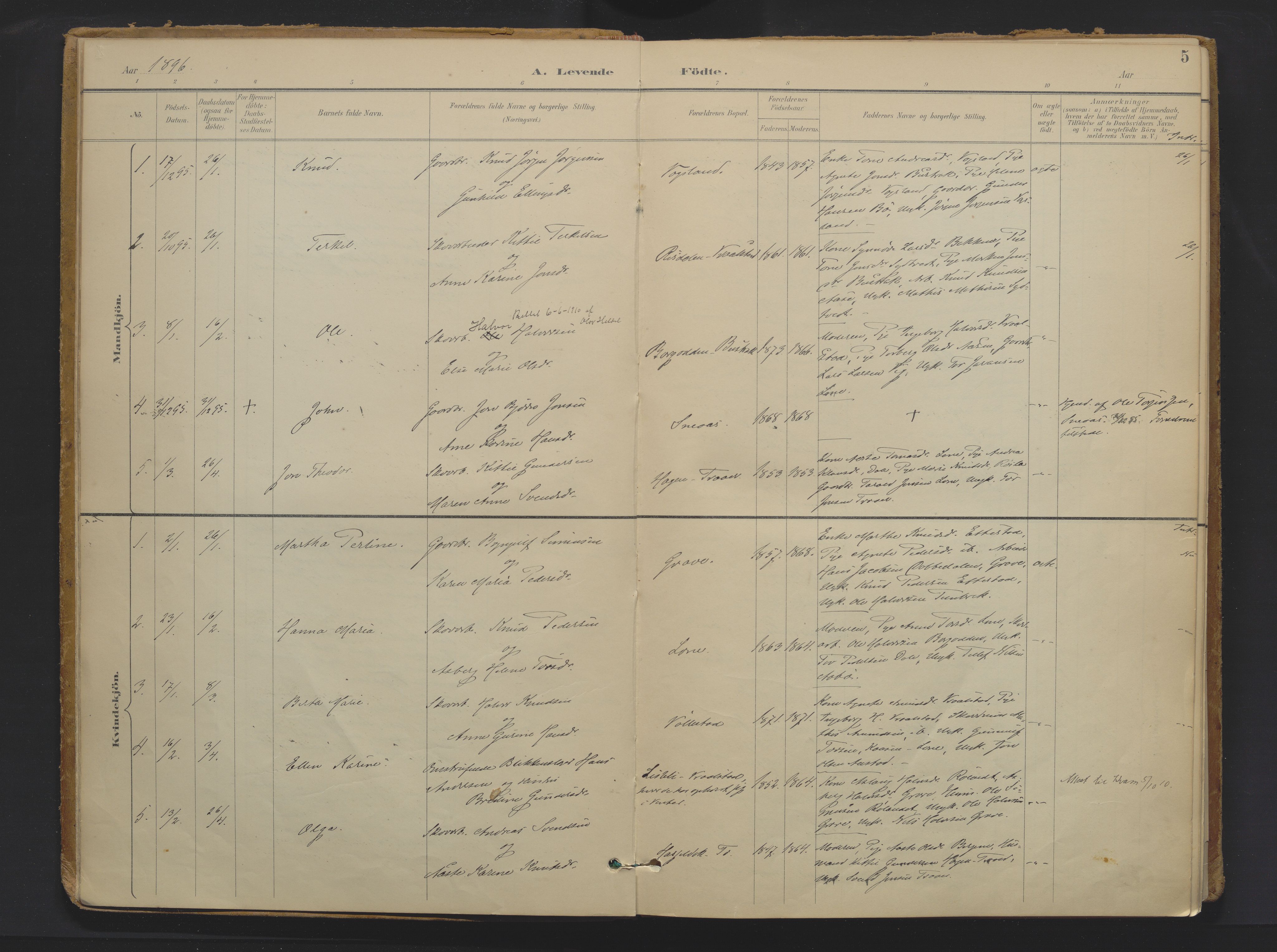 Drangedal kirkebøker, SAKO/A-258/F/Fa/L0013: Parish register (official) no. 13, 1895-1919, p. 5