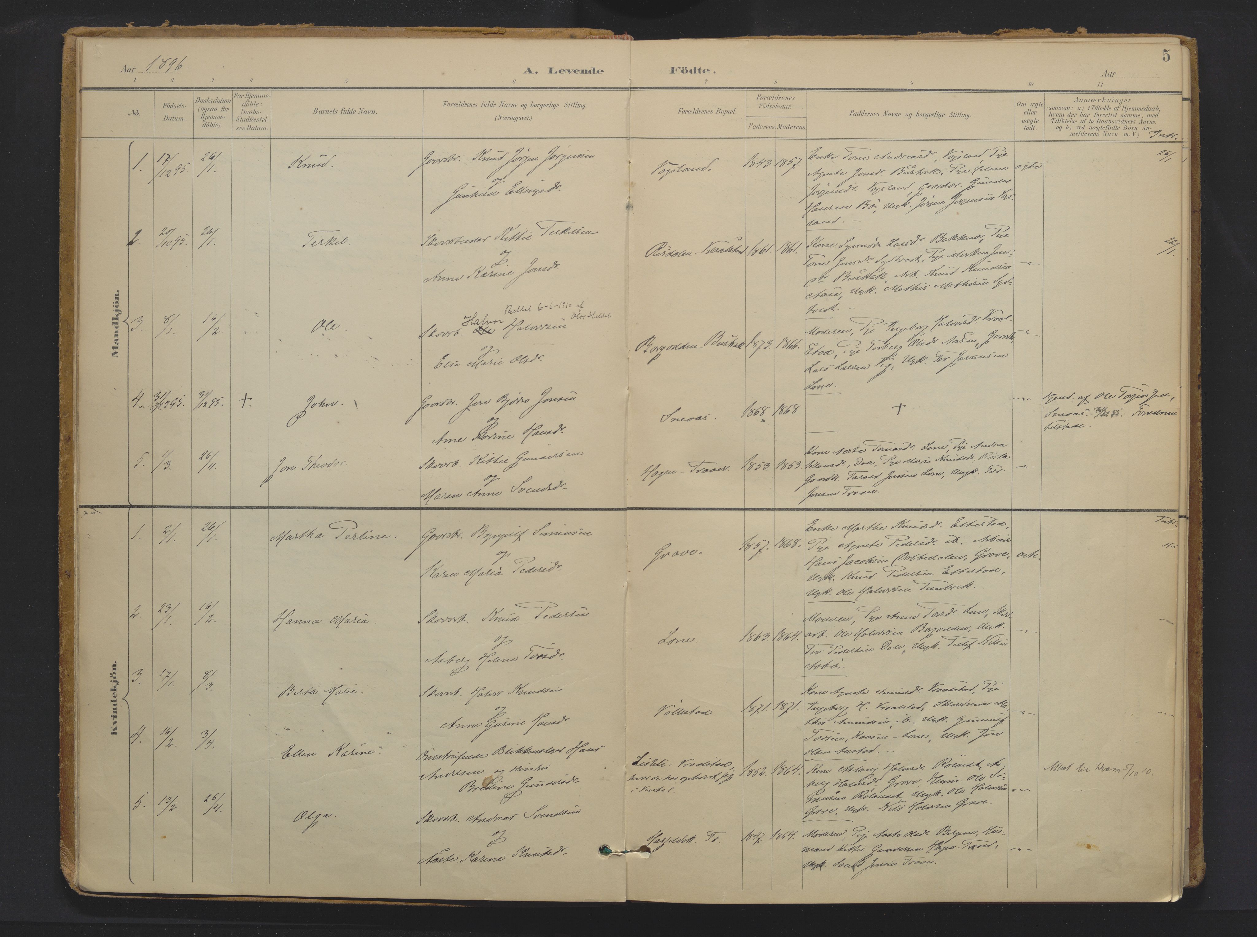 Drangedal kirkebøker, AV/SAKO-A-258/F/Fa/L0013: Parish register (official) no. 13, 1895-1919, p. 5