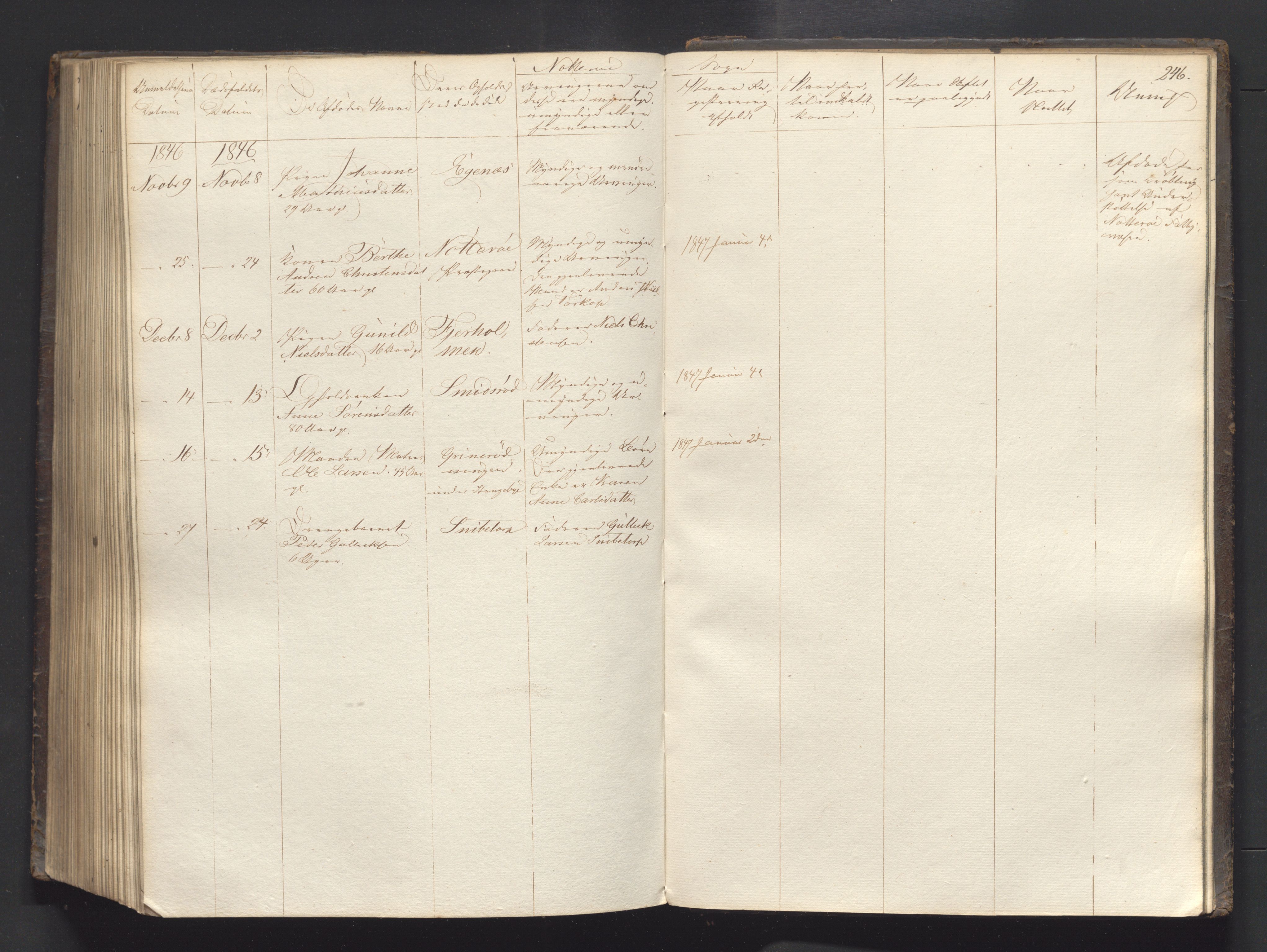 Søndre Jarlsberg sorenskriveri, AV/SAKO-A-129/H/Ha/Hab/L0003: Dødsmeldingsprotokoll, 1839-1862, p. 246