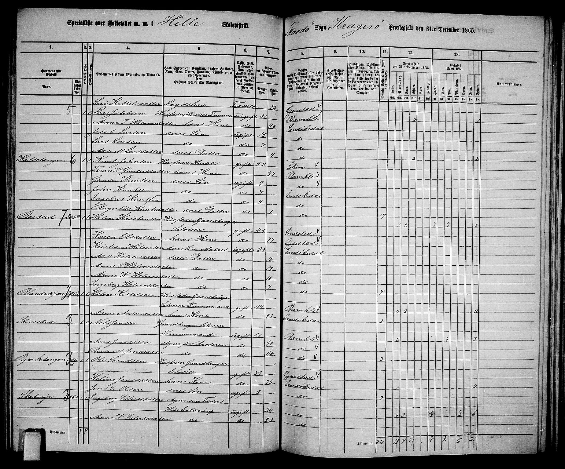 RA, 1865 census for Kragerø/Sannidal og Skåtøy, 1865, p. 154