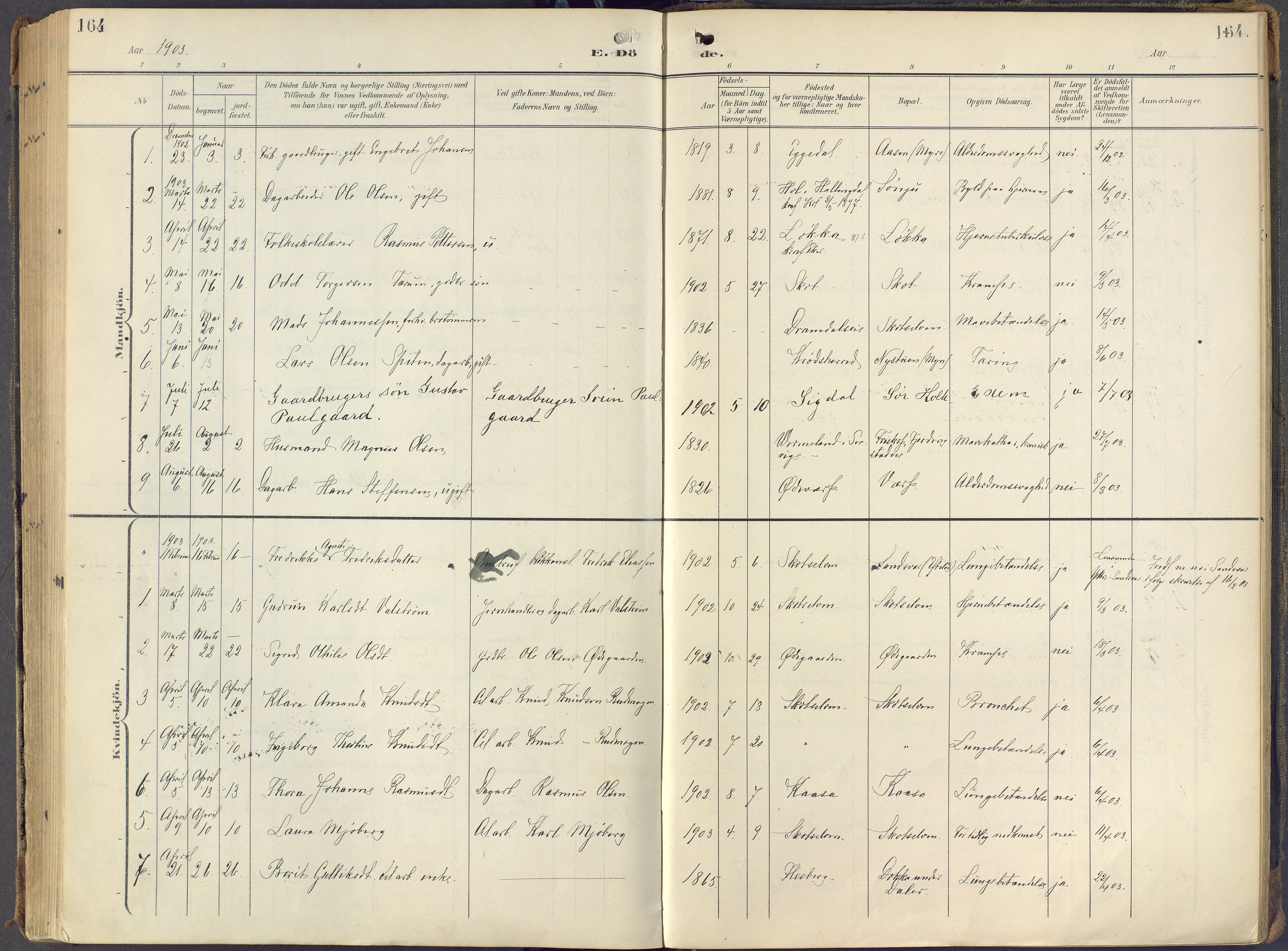 Eiker kirkebøker, SAKO/A-4/F/Fc/L0004: Parish register (official) no. III 4, 1900-1919, p. 164