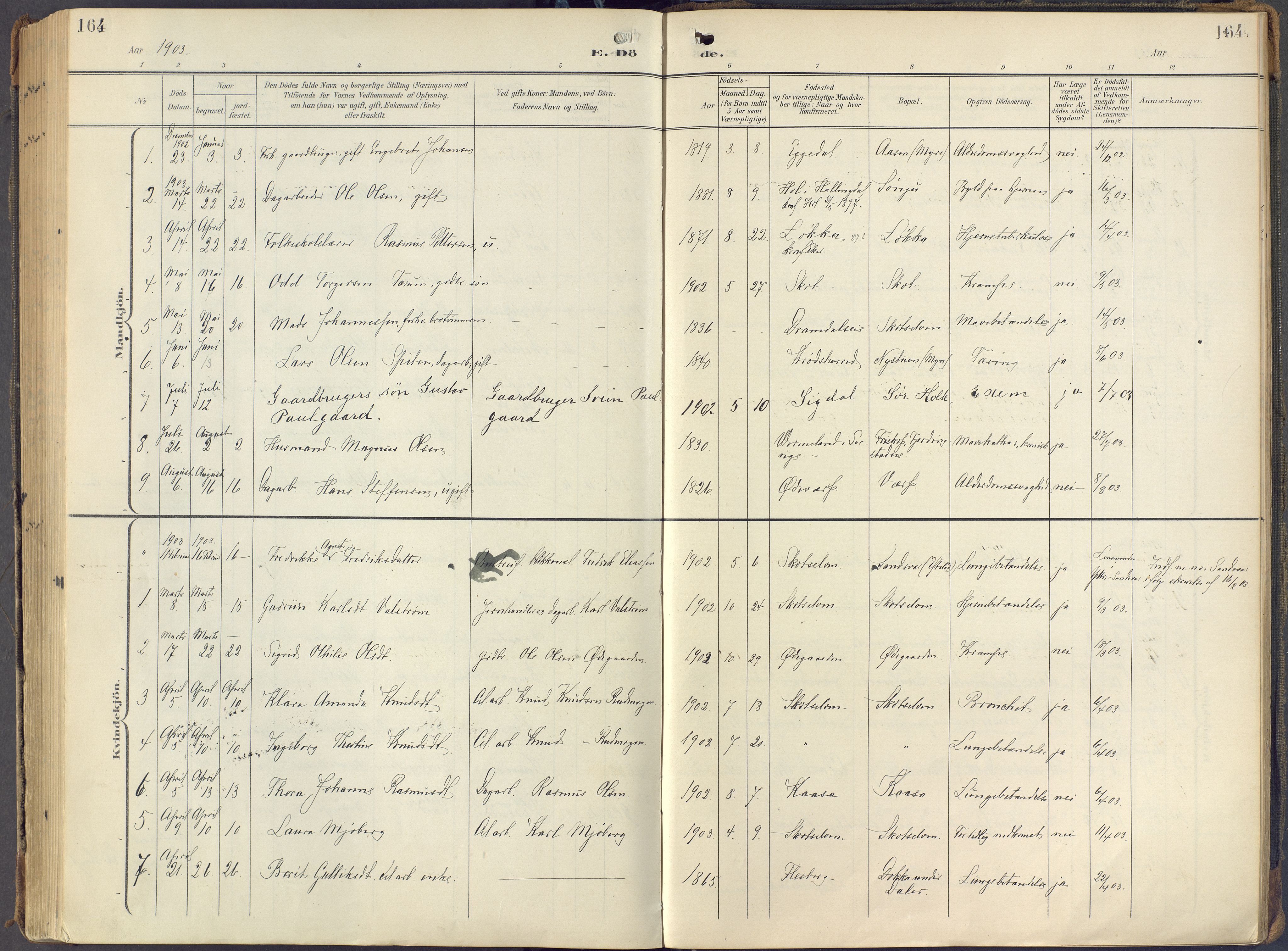 Eiker kirkebøker, AV/SAKO-A-4/F/Fc/L0004: Parish register (official) no. III 4, 1900-1919, p. 164