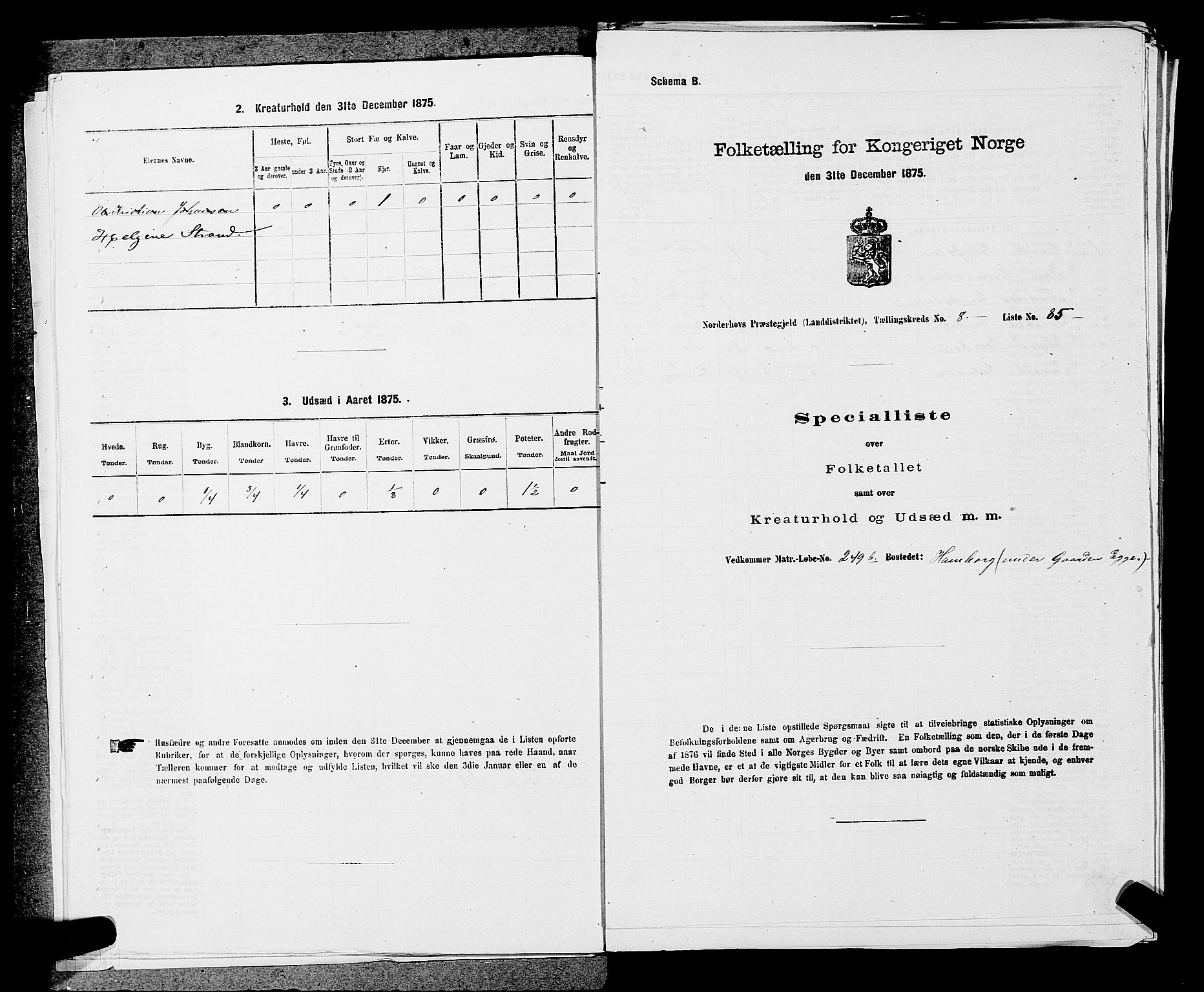 SAKO, 1875 census for 0613L Norderhov/Norderhov, Haug og Lunder, 1875, p. 1506