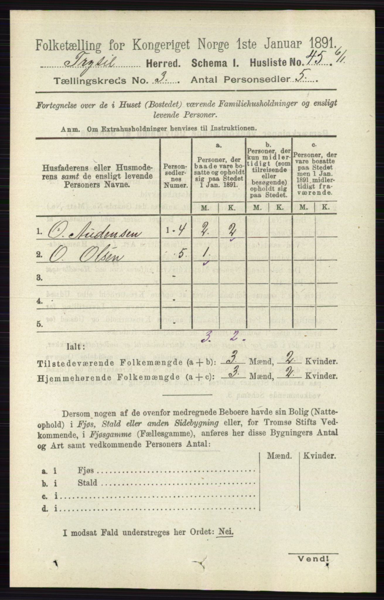 RA, 1891 census for 0428 Trysil, 1891, p. 1315