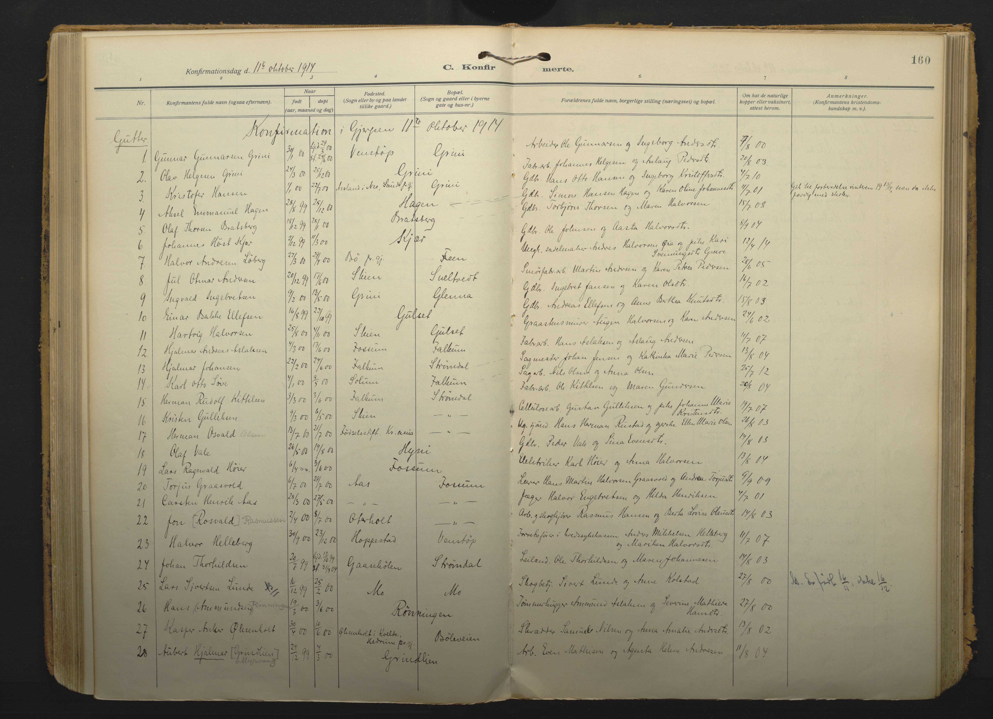 Gjerpen kirkebøker, SAKO/A-265/F/Fa/L0013: Parish register (official) no. I 13, 1914-1924, p. 160