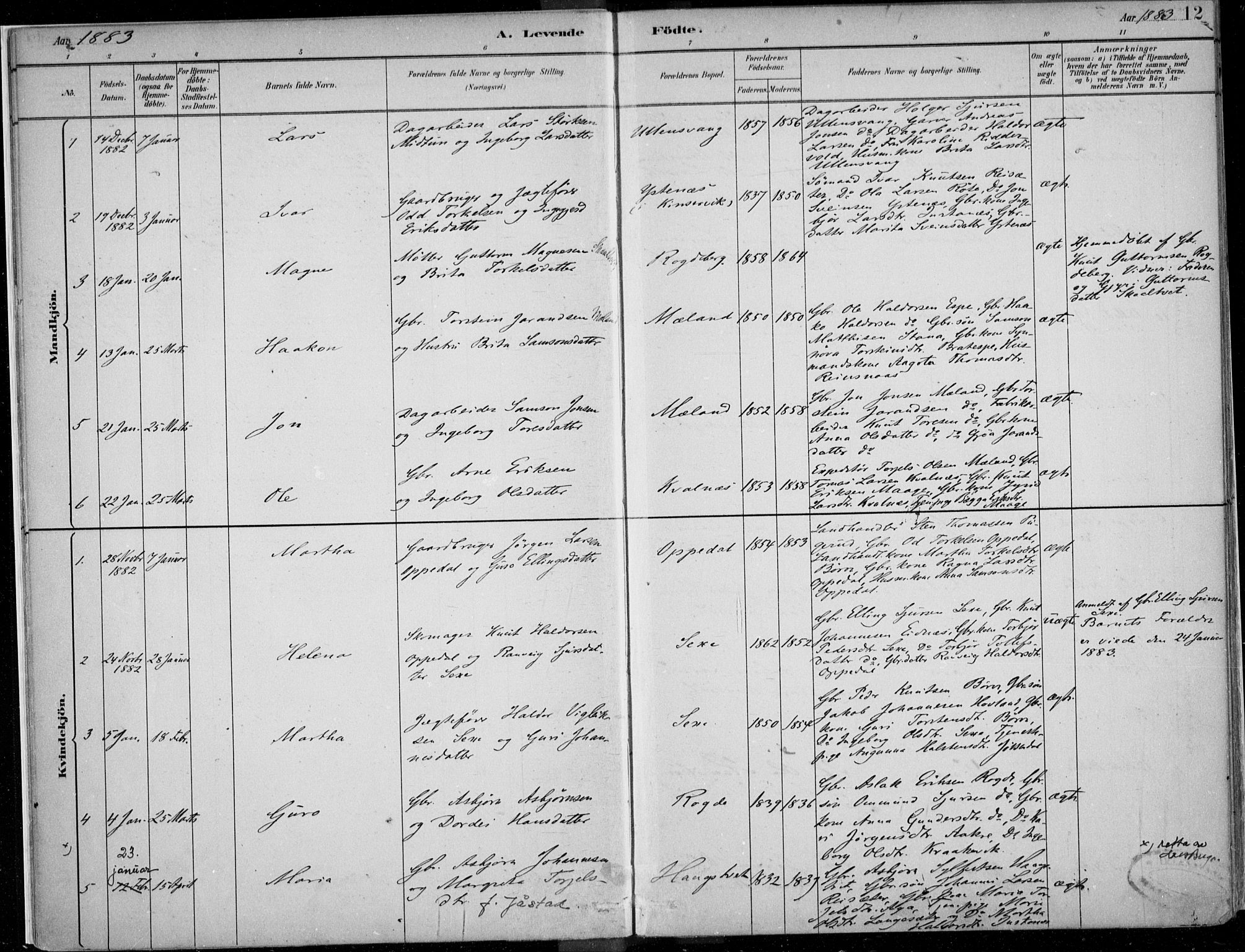 Ullensvang sokneprestembete, SAB/A-78701/H/Haa: Parish register (official) no. B  1, 1882-1918, p. 12